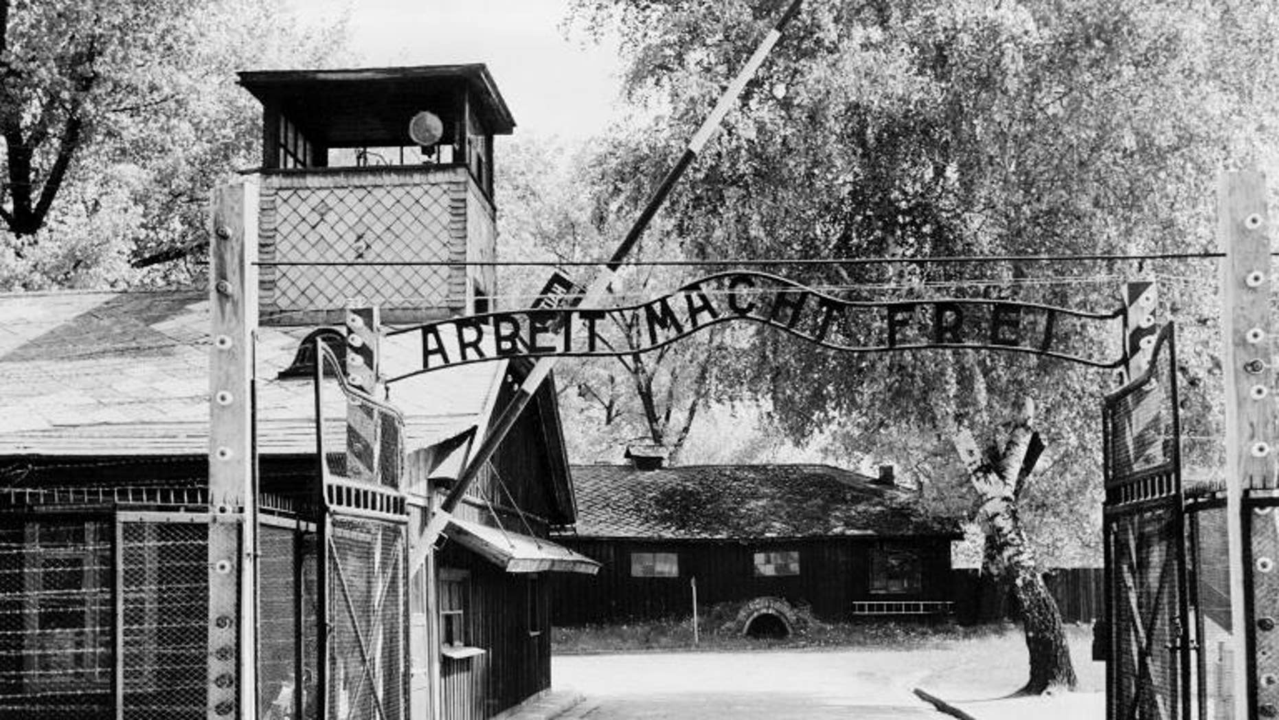 Camp gate. Лале из Освенцима фото.