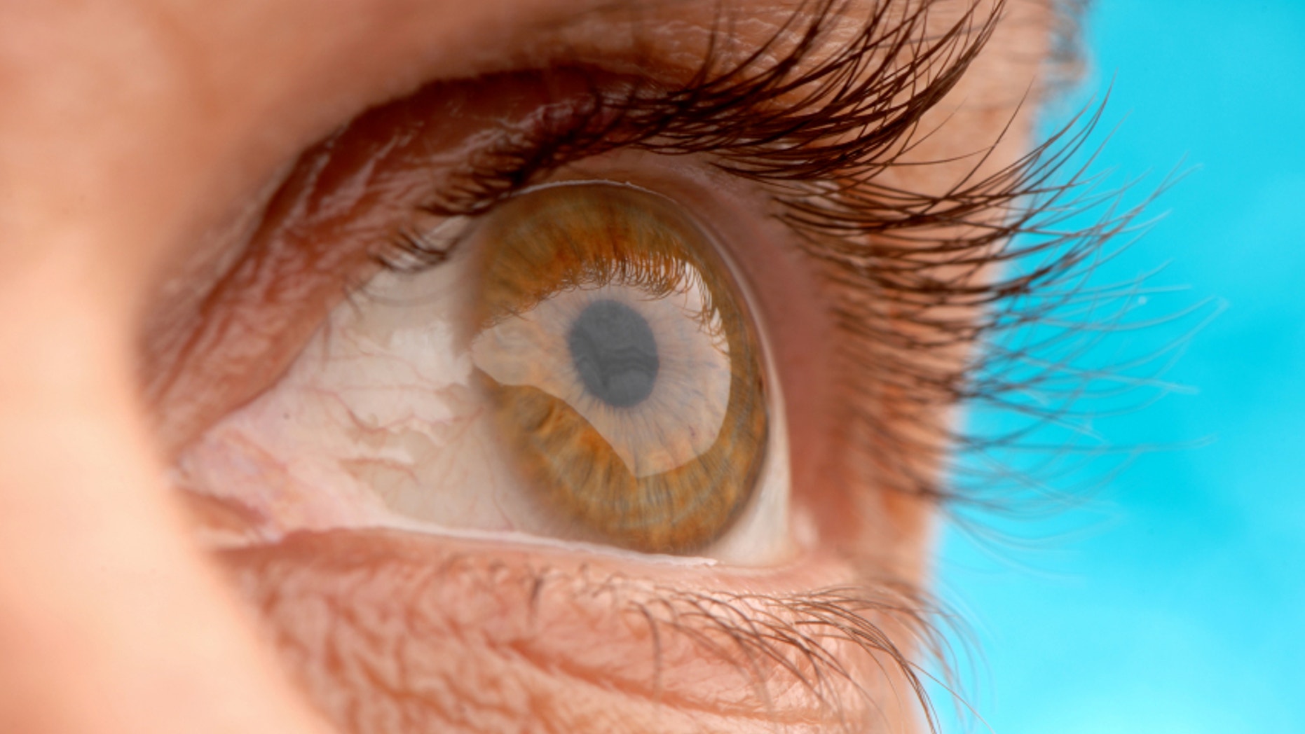 Frank Sinatra Crooned About Blue Skies But It Turns Out Ol Blue Eyes Was Really Ol Brown Eyes It Turns Out All Human Eyes Are Brown Or At Least Various Frank Sinatra Crooned About Blue Skies But It Turns Out Ol Blue Eyes Was Really Ol Brown Eyes It Turns Out All Human Eyes Are Brown Or At Least Various