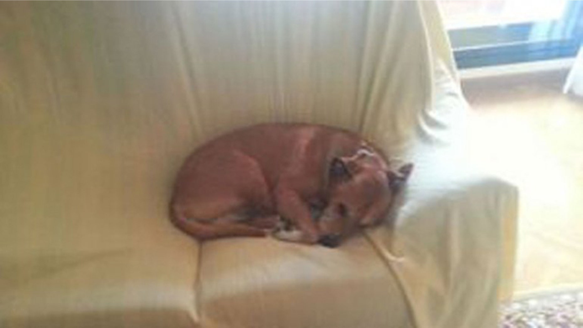 Excalibur at rest. (Photo: Via Facebook)
