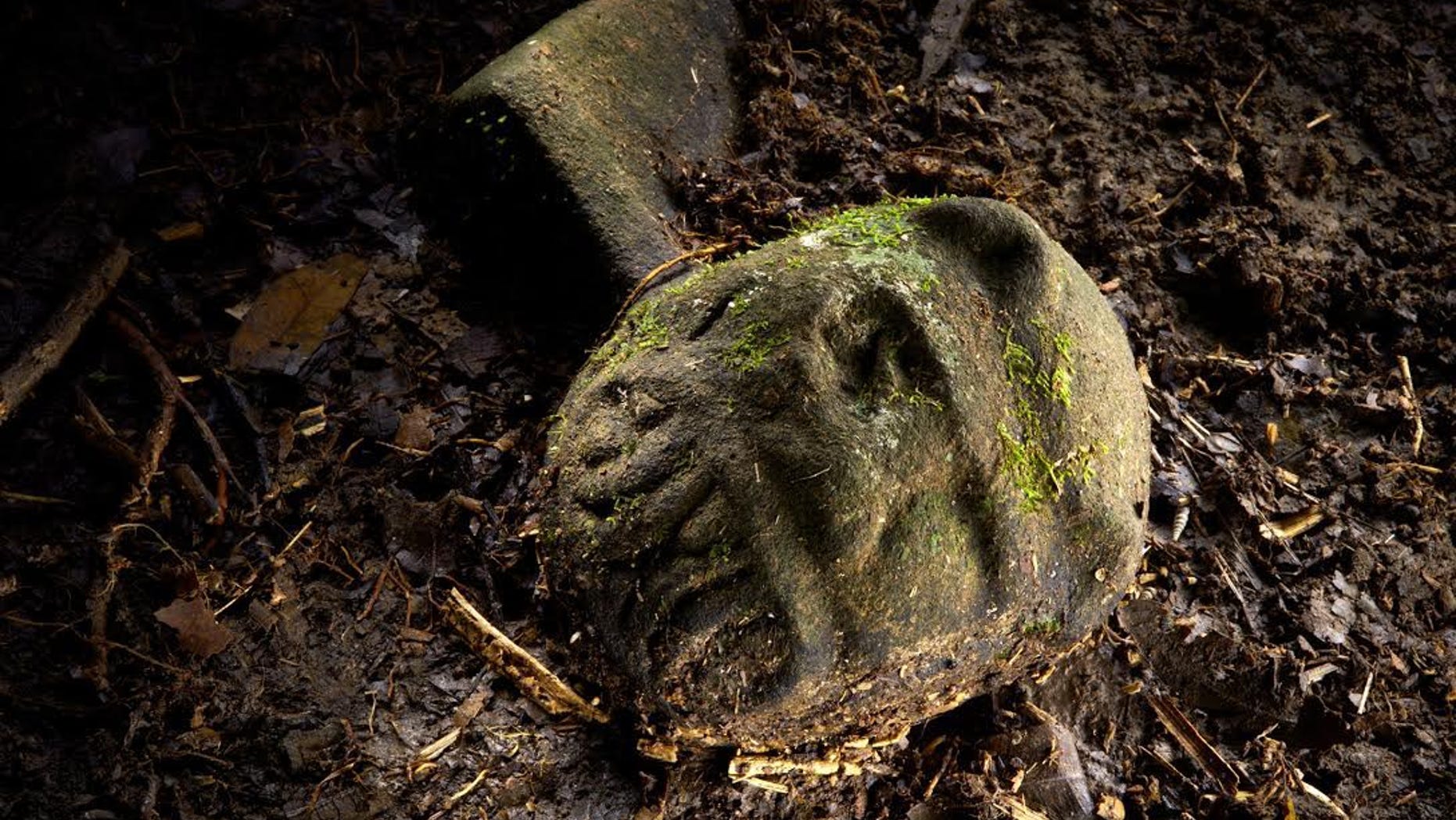 A cache of at least 51 artifacts, found partly exposed, lie in a cache in a secret location in the Mosquitia jungle in Honduras.