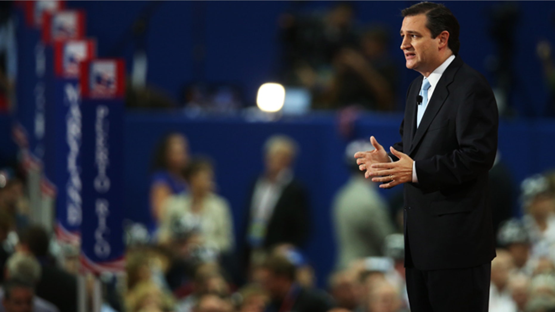 Senator Ted Cruz (Photo by Scott Olson/Getty Images)