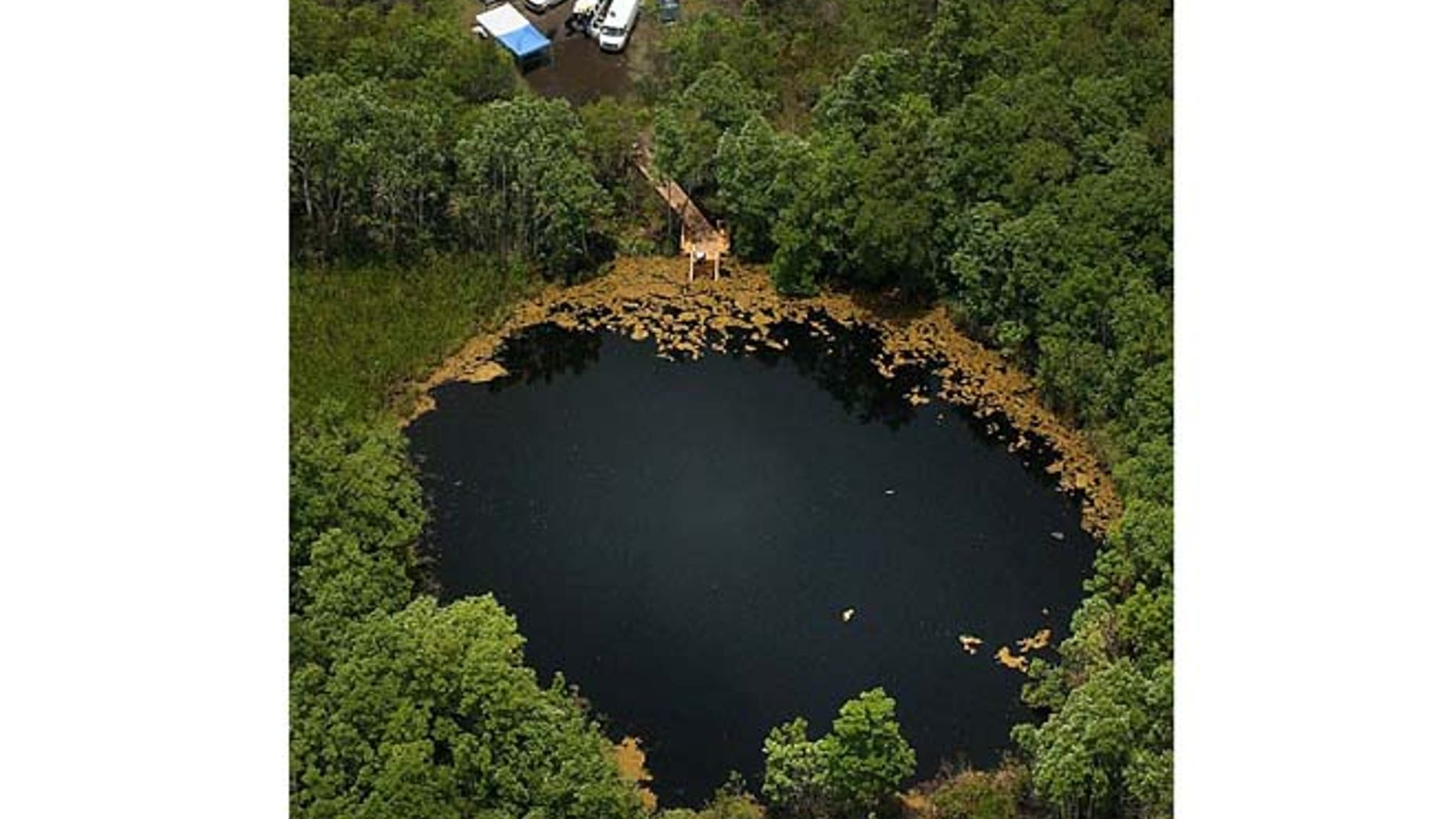 The Eagle's Nest dive site in Weeki Wachee, Fla.