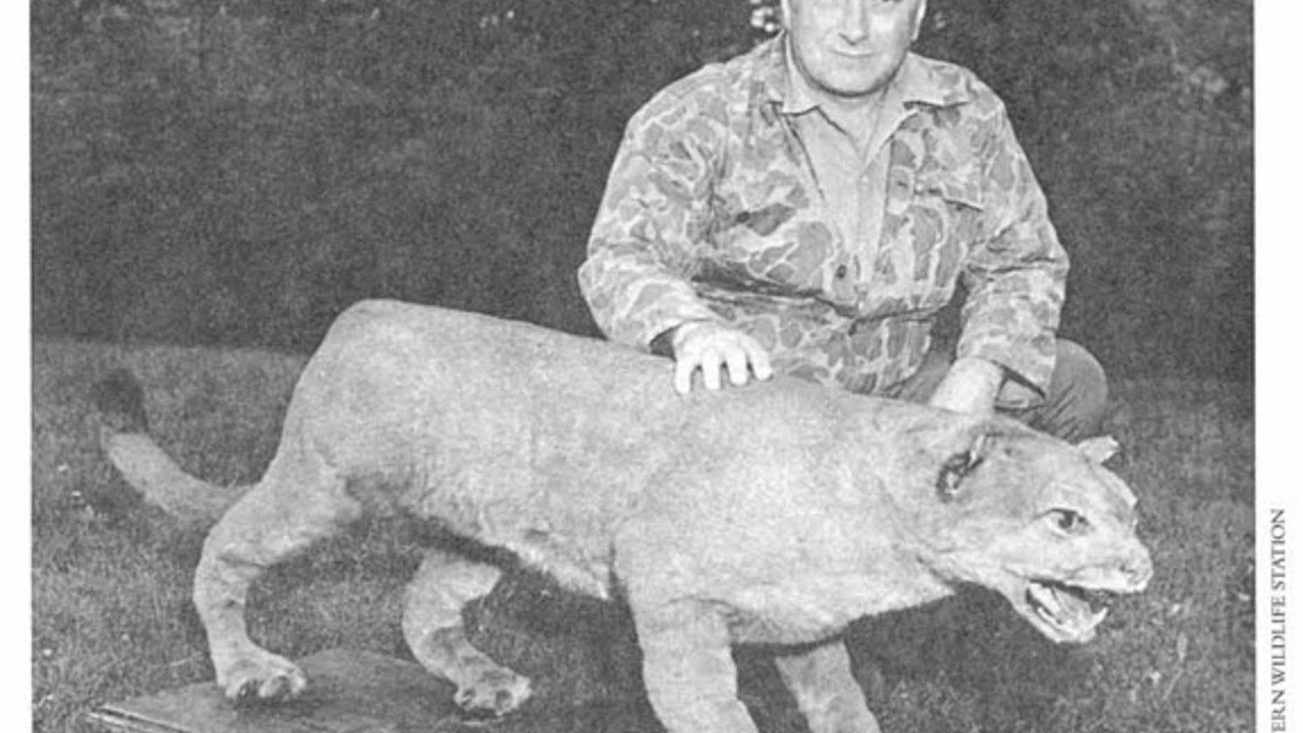 Bruce Wright, a New Brunswick-based wildlife biologist and author, with what is thought to be the last eastern puma. The puma was trapped by in Somerset County, Maine in 1938.