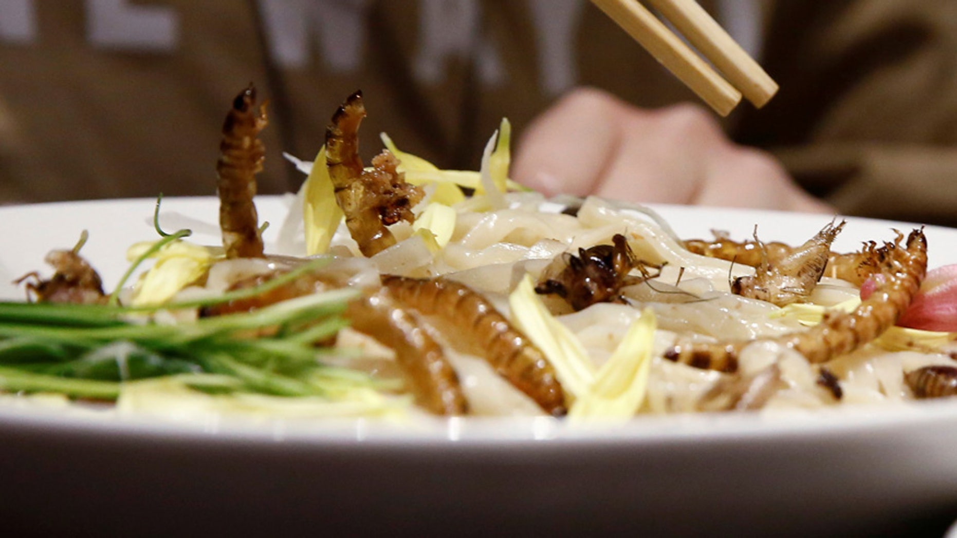 Researchers in Scotland say that replacing beef with bugs could save the planet.
