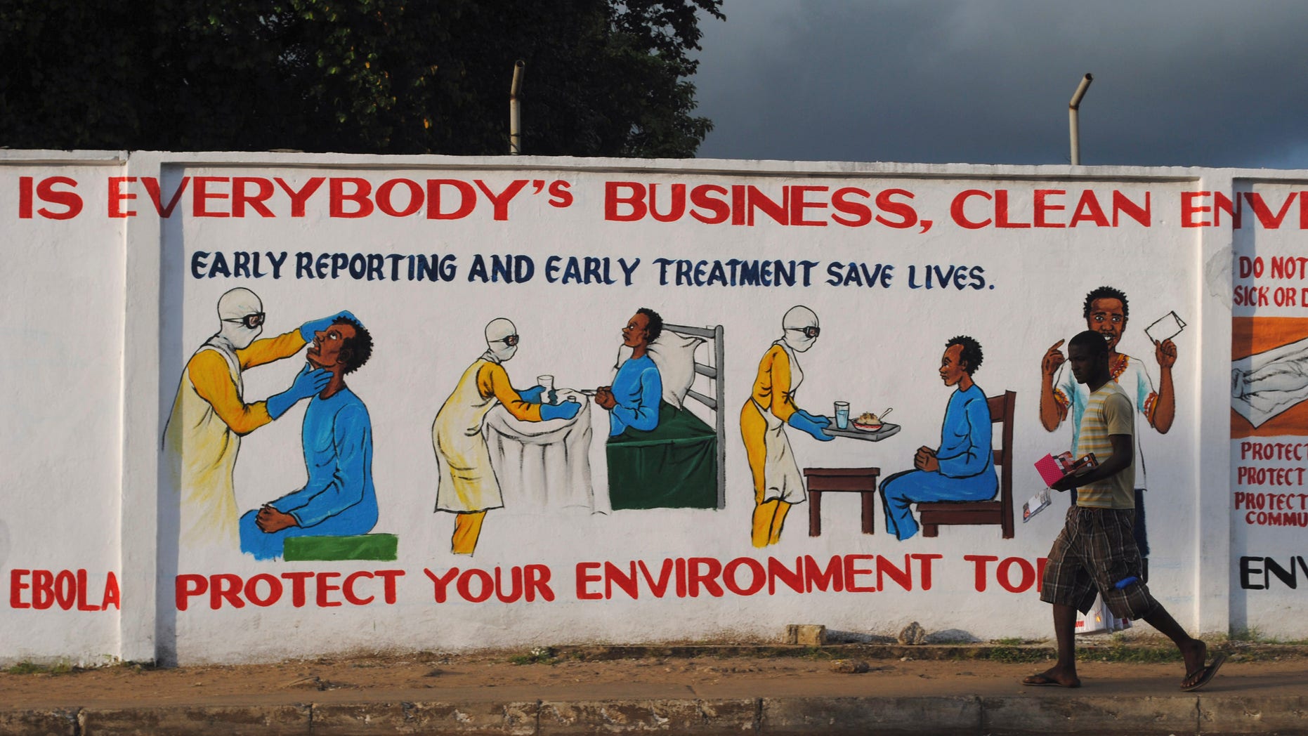 A man walks by a mural with health instructions on treating the Ebola virus, in Monrovia, November 18, 2014. REUTERS/James Giahyue