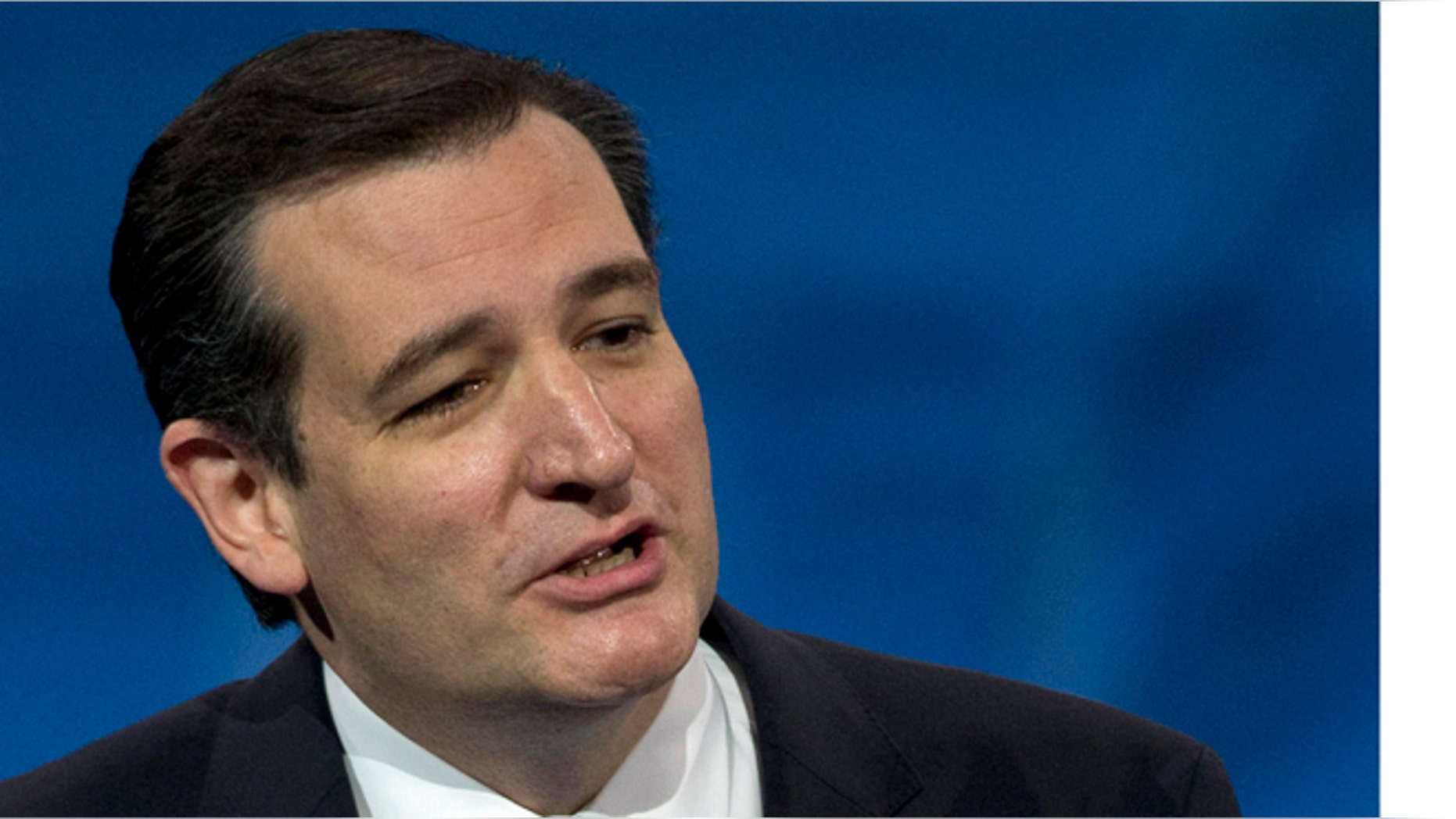 Sen. Ted Cruz, Texas Republican