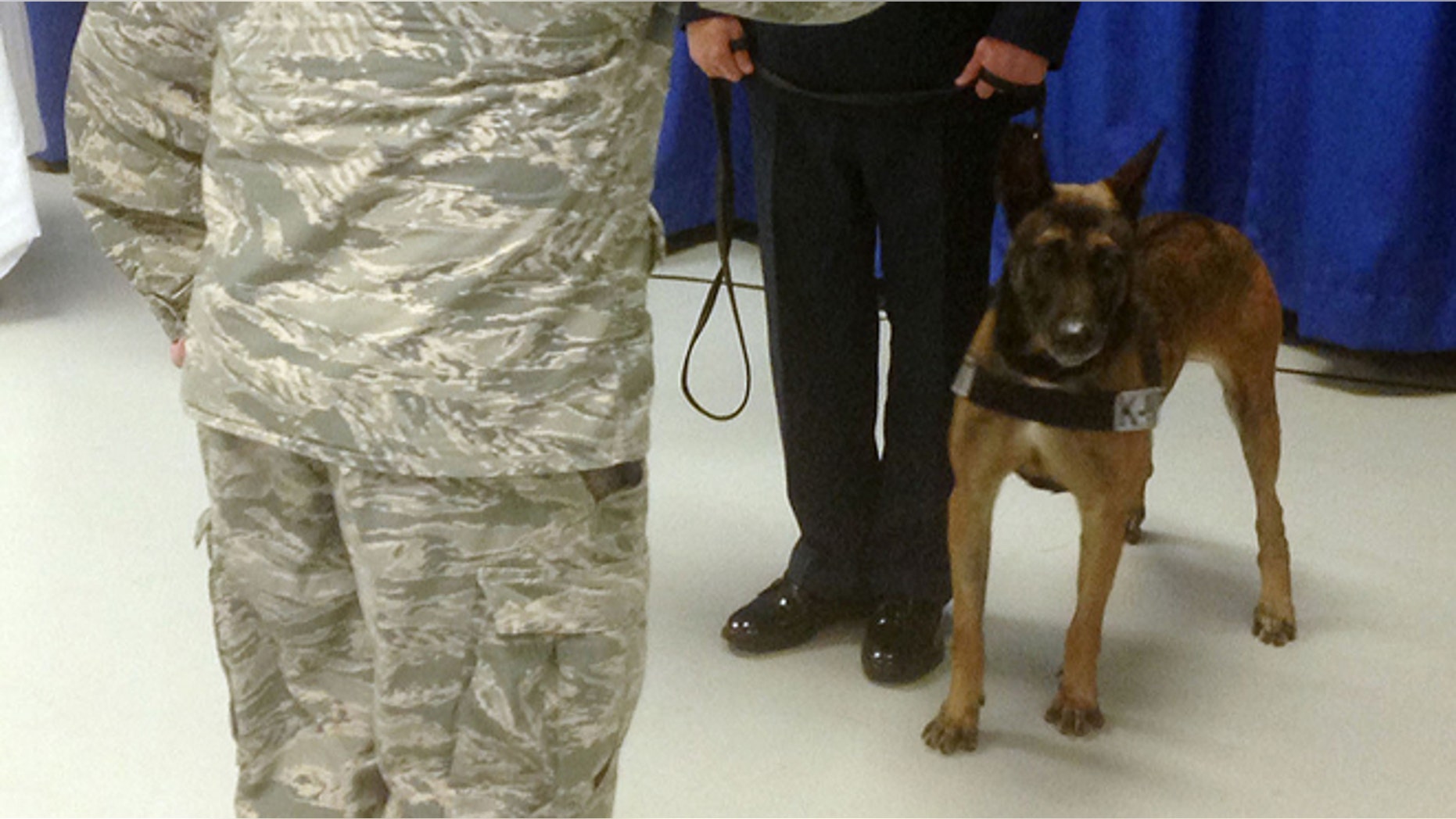 April 11, 2014: In 2012, Eddie found two improvised explosive devices containing 10 pounds of homemade explosives in Afghanistan. It saved a soldier's life and the lives of his 13-member patrol unit. Eddie retired Friday, receiving fully military honors during the ceremony. (AP/Tamara Lush)