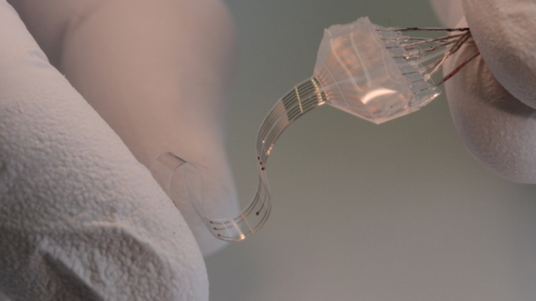 The e-Dura implant