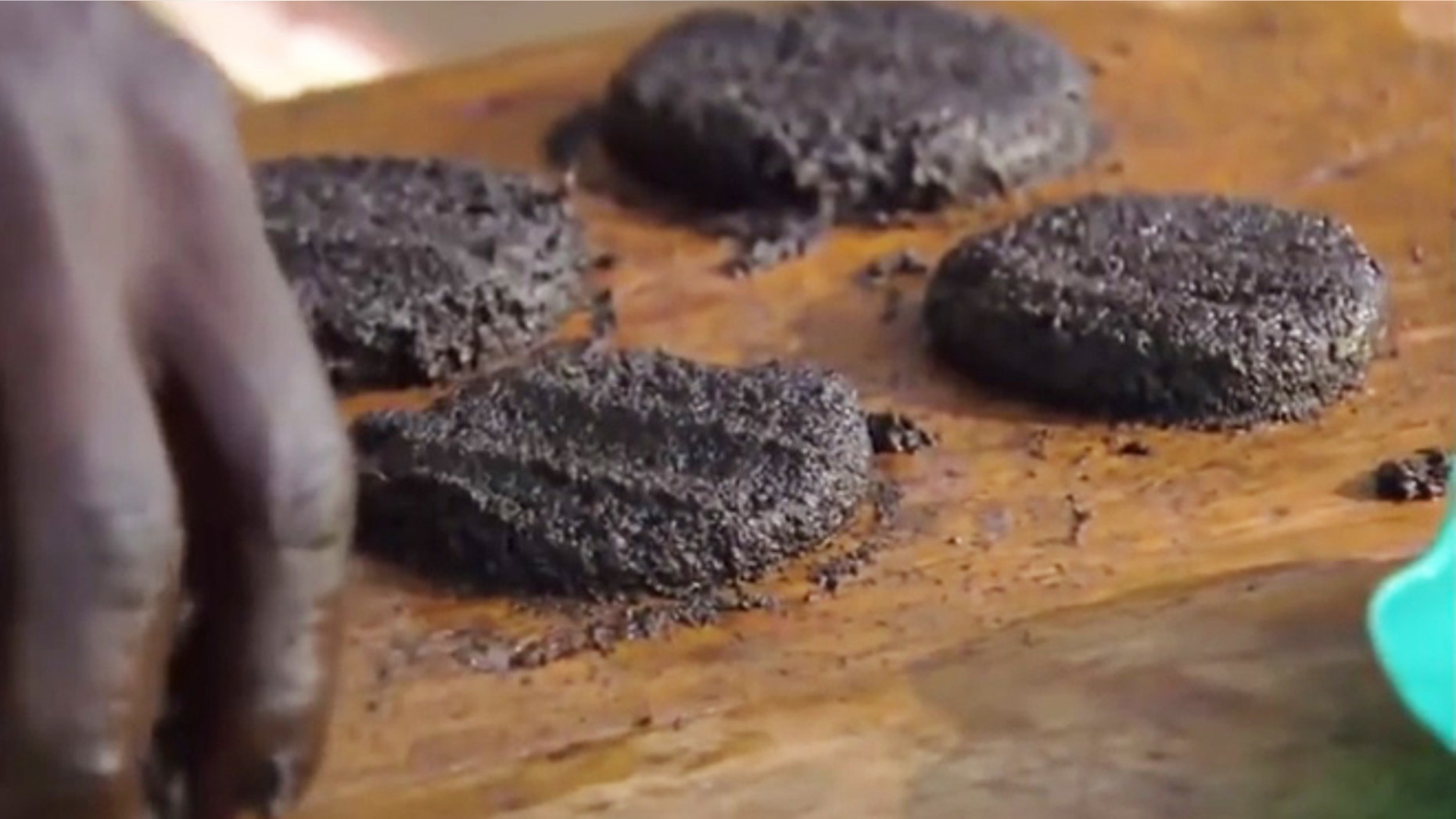 Making burgers from mashed up flies.