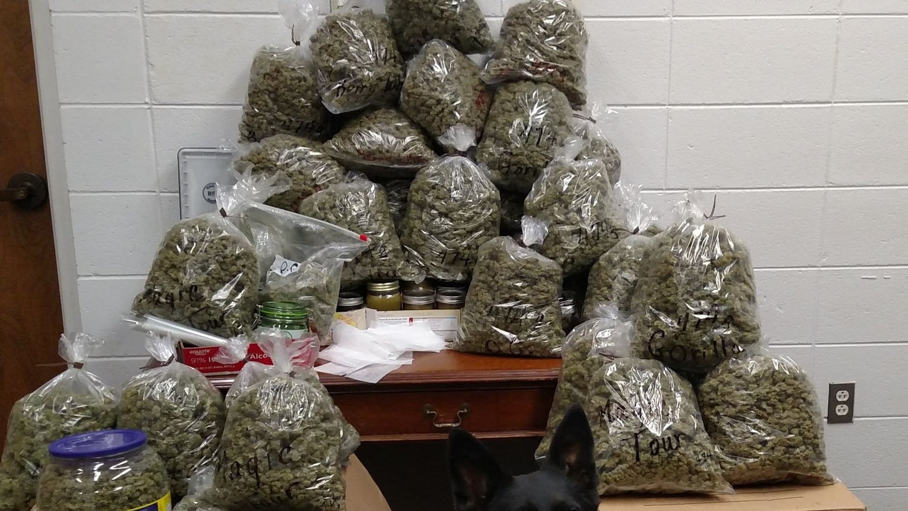 60 pounds of weed, valued at more than $300,000, was discovered by authorities in Nebraska in the truck of an elderly couple.