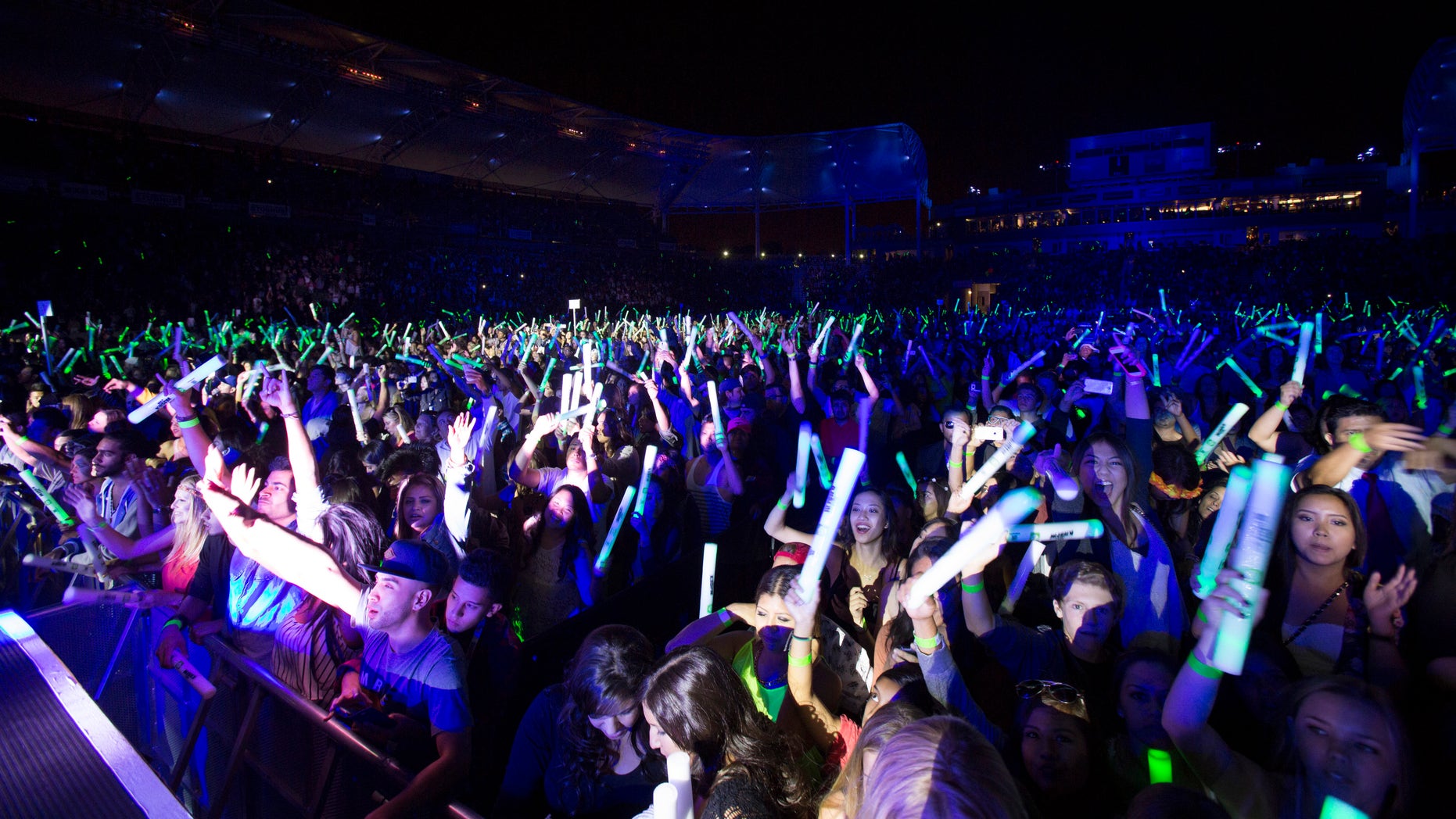People dance as DJ Tiesto performs at the 2014 Wango Tango concert at StubHub Center in Carson, California May 10, 2014. REUTERS/Mario Anzuoni (UNITED STATES - Tags: ENTERTAINMENT) - RTR3OMER