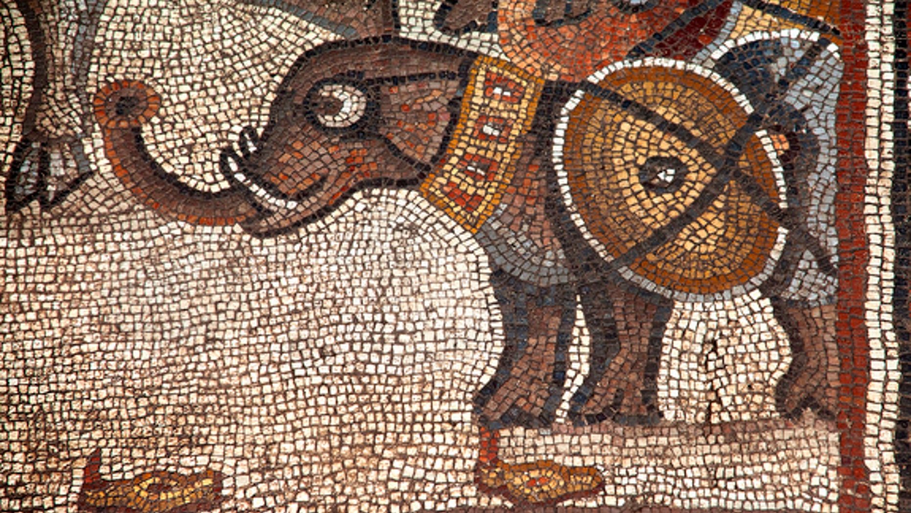 A section of the mosaic showing an elephant discovered in 2013. This section is part of the larger mosaic exposed in summer 2015.