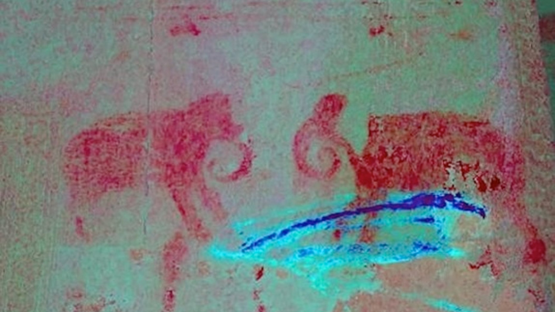 A technique called decorrelation stretch analysis, which exaggerates subtle color differences, revealed images like this one showing two elephants facing each other.