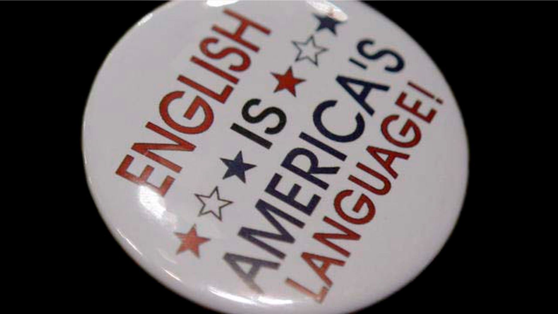 Pins supporting the republican party are seen on a delegate during the opening session of the Republican National Convention in St. Paul, Minn., Monday, Sept. 1, 2008. (AP Photo/Jae C. Hong)