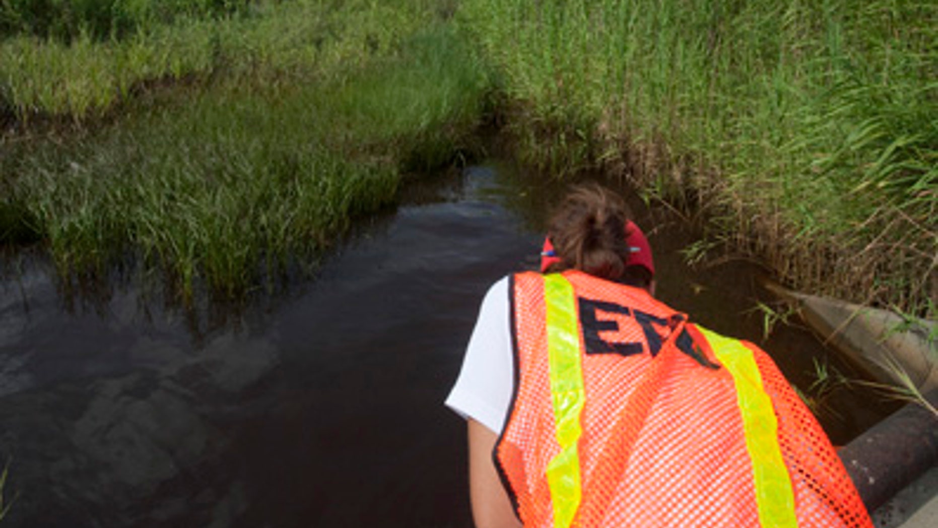 A U.S. Environmental Protection Agency (EPA) worker looks at oil from the Deepwater Horizon spill which seeped into a marsh in Waveland, Mississippi July 7, 2010.