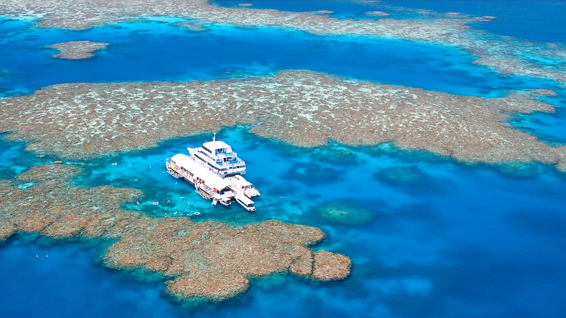 The Great Barrier Reef is the world's largest coral reef ecosystem.