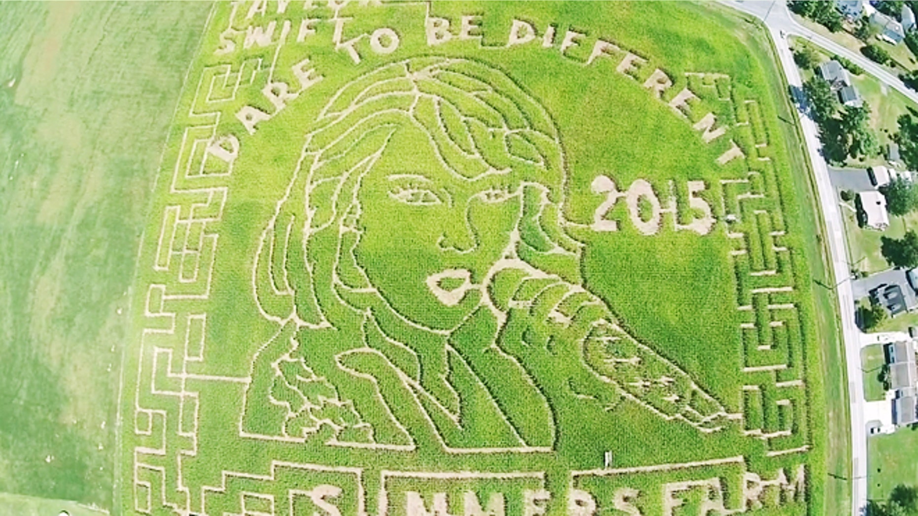 This 12-acre corn maze features Taylor Swift's face.