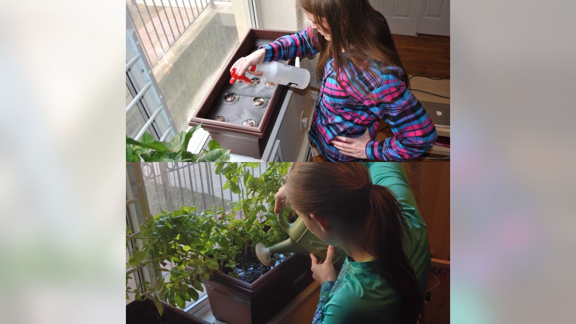 Take the dirt out of the dirty work with 'just add water' seeding kids.