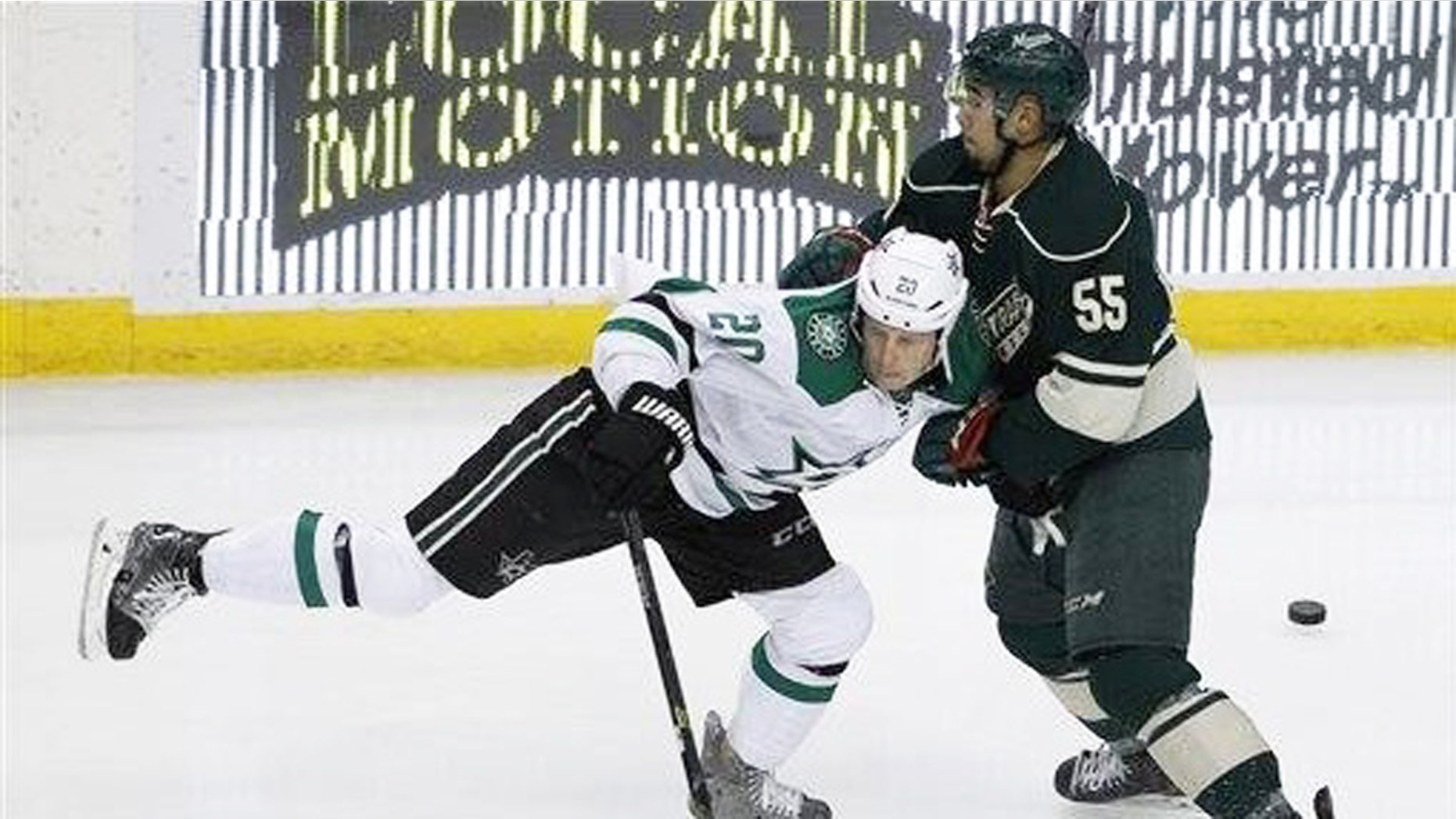 The Dallas Stars defeated the Minnesota Wild, Sat. Nov. 28.