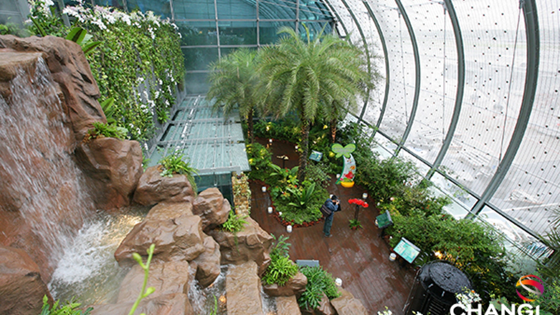 Singapore's Changi Airport features a butterfly garden.