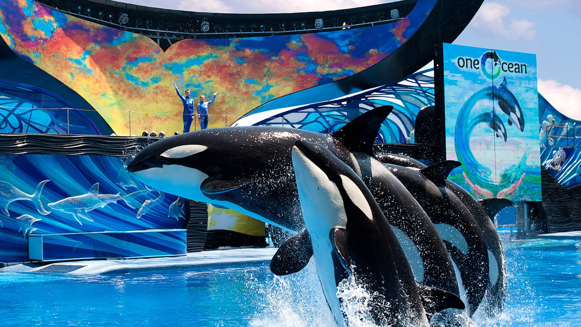 Seaworld Drops Weekend Ticket Price Announces New Pricing