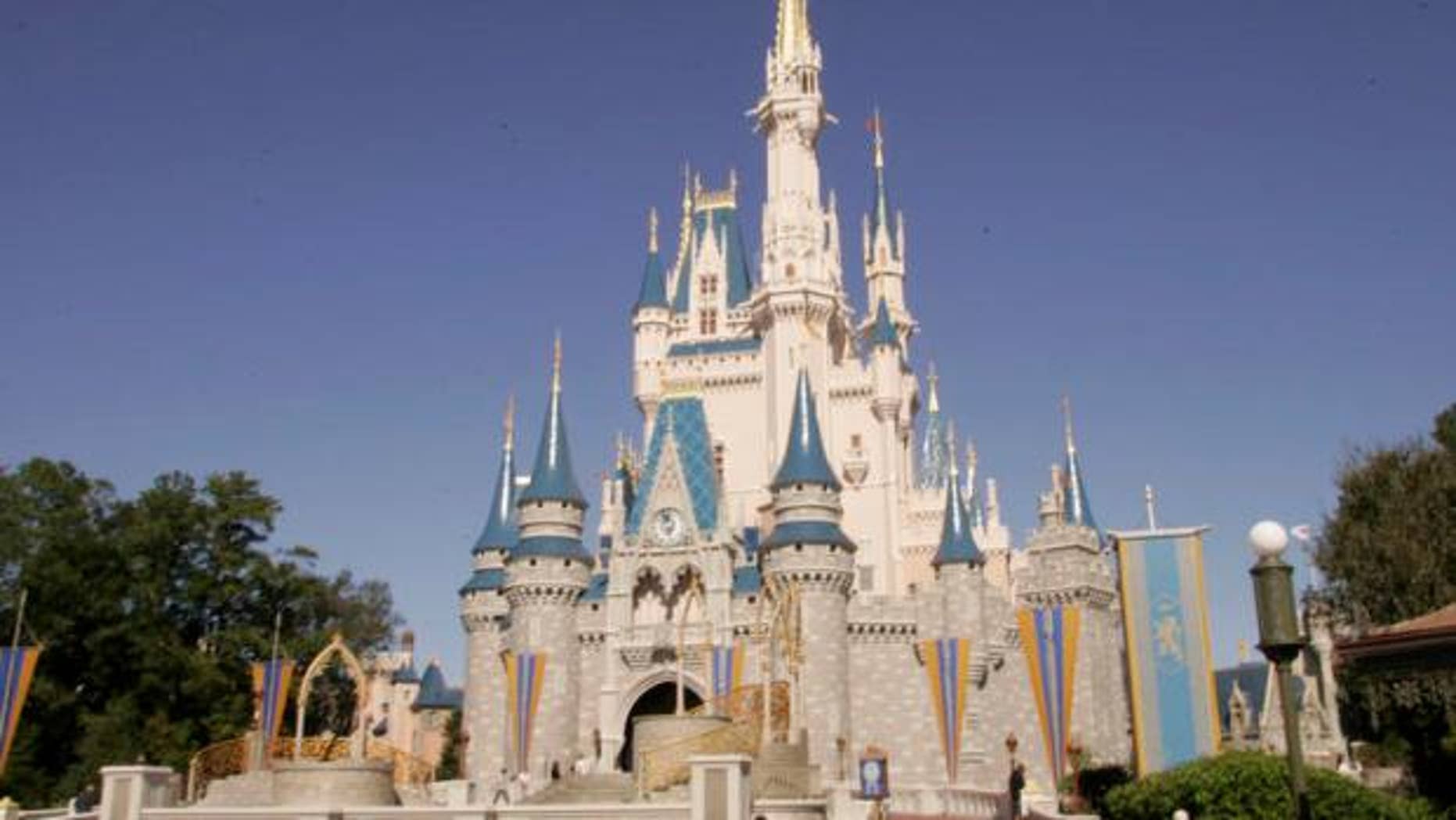 Disney's Magic Kingdom is the most popular theme park in the U.S.