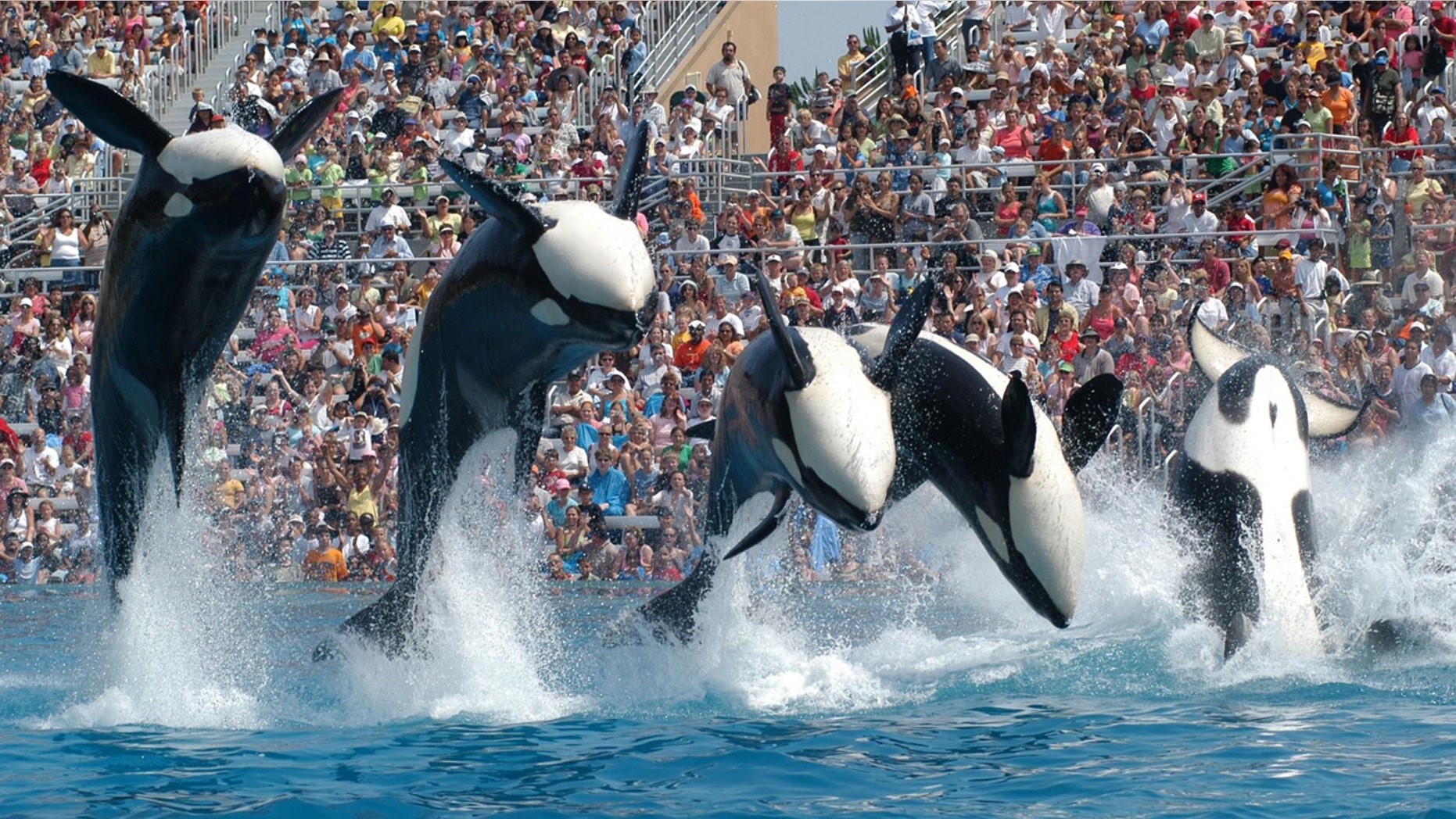 Sea World is raising the price of admission and parking at its Orlando park.