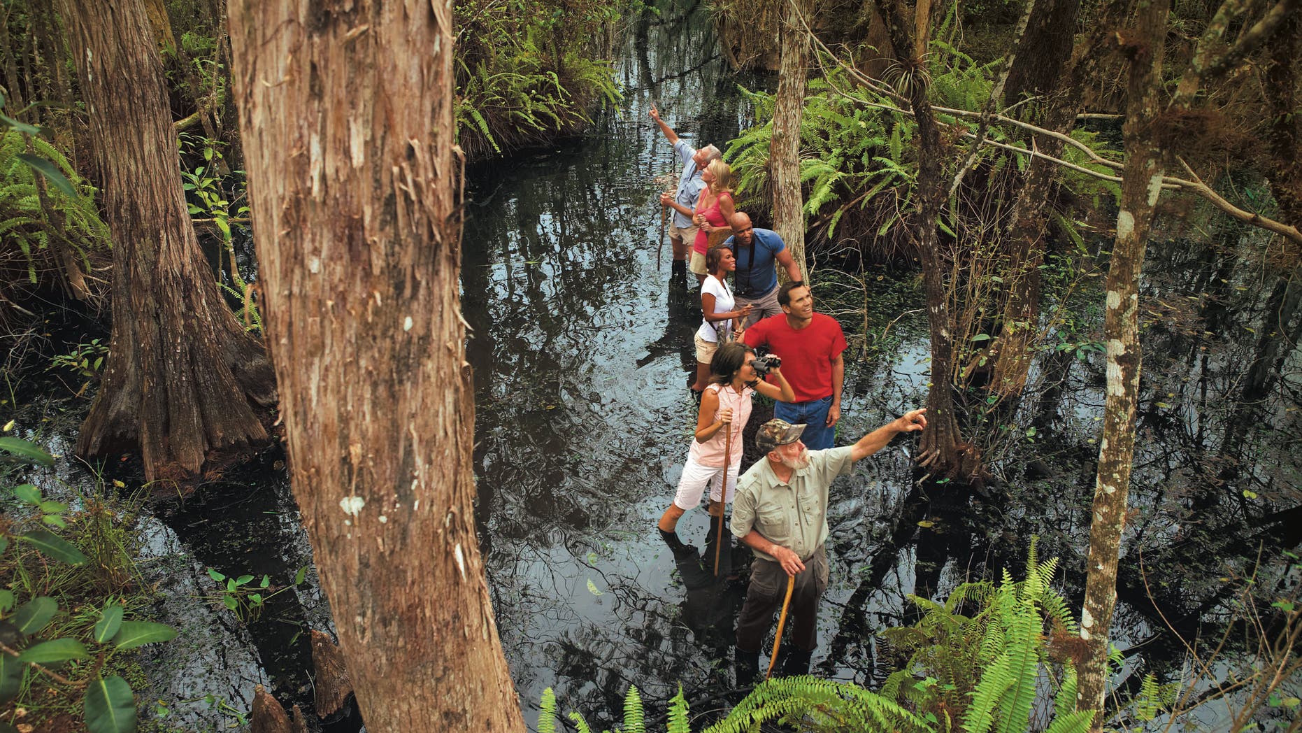 Trekking through Big Cypress National Preserve.