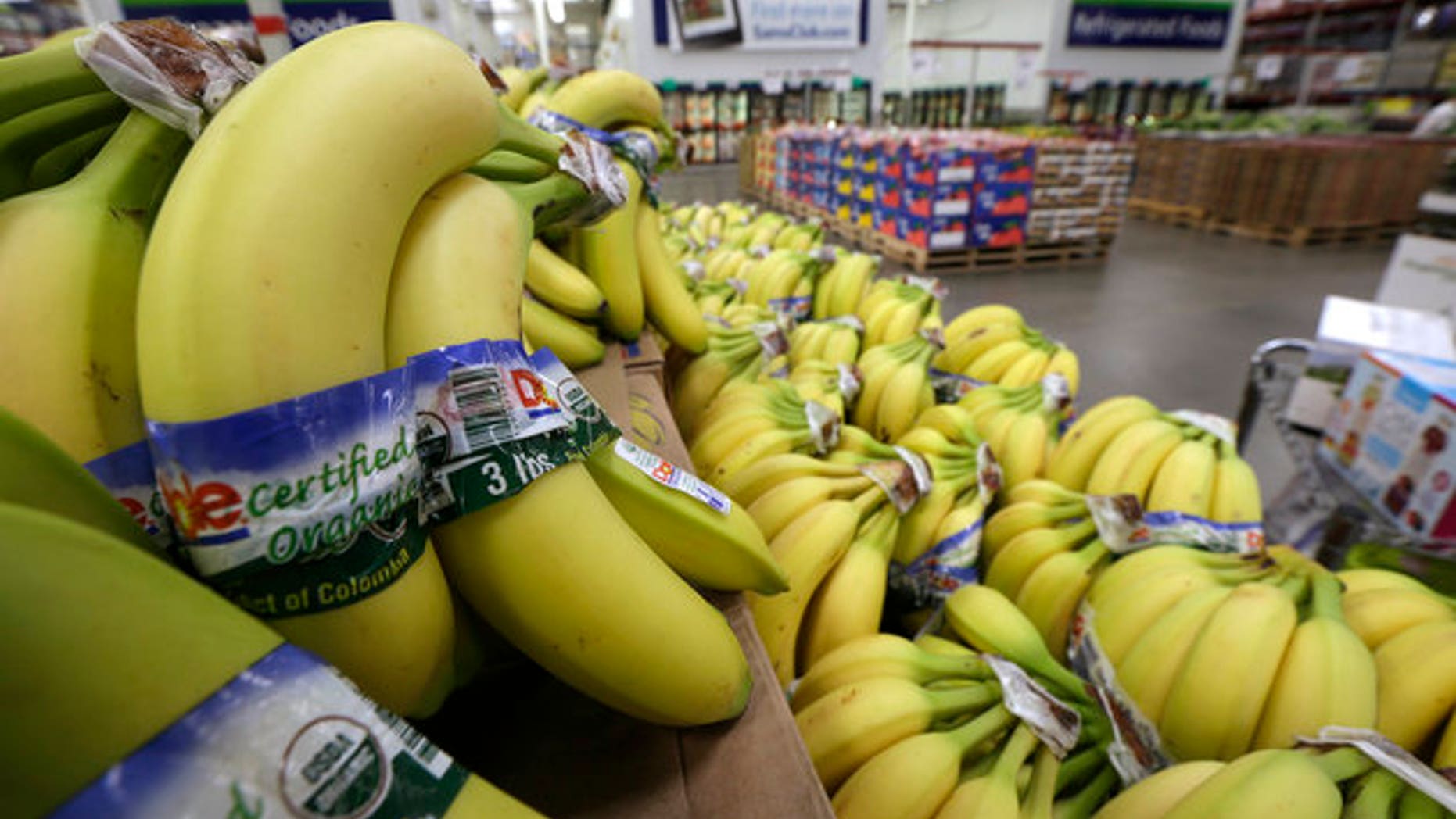 Cavendish bananas are the most popular variety in the U.S. But they are facing a deadly fungal disease compound.