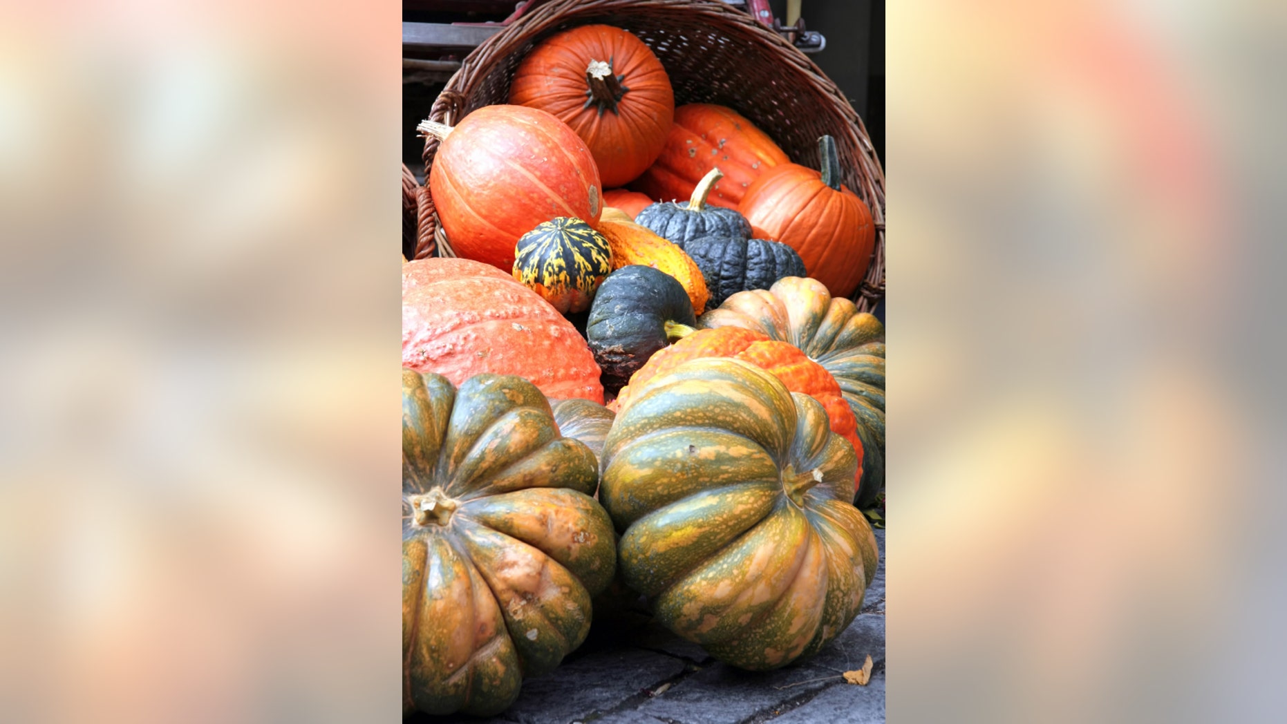 Pumpkins and squash as we know them only exist today because of early farming techniques.