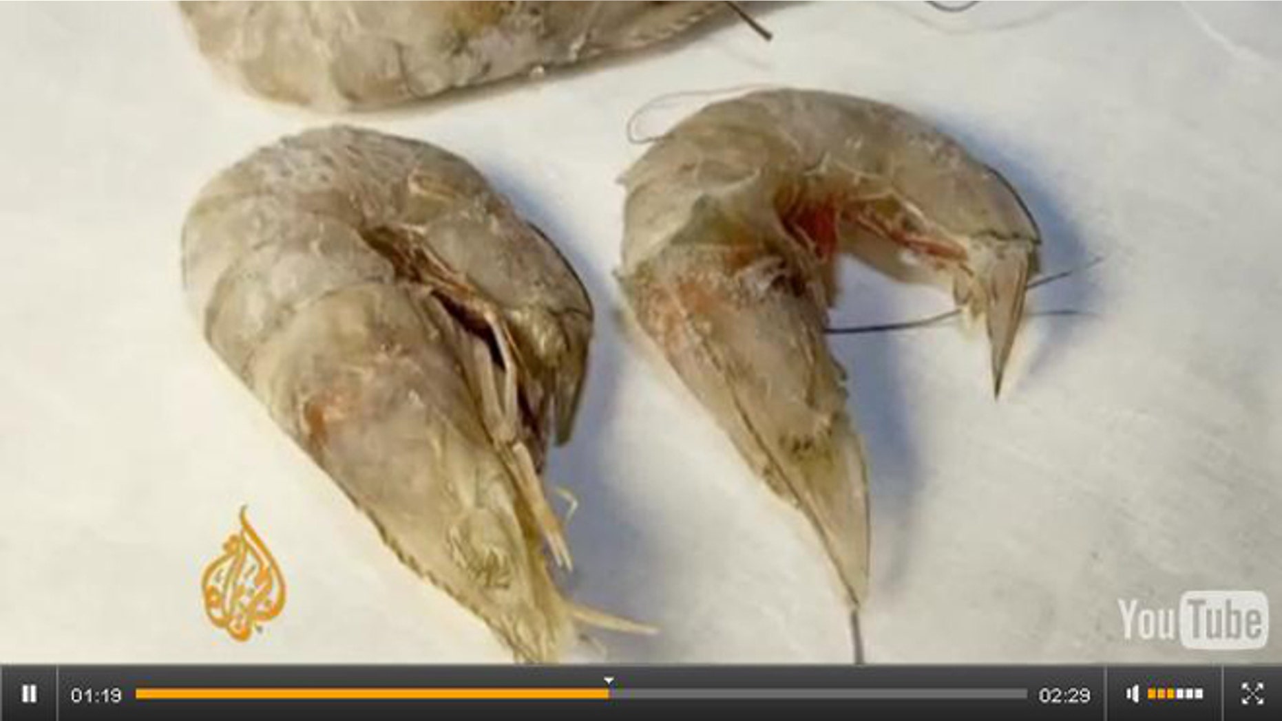 Eyeless shrimp and fish with lesions are becoming common, with BP oil pollution believed to be the likely cause.