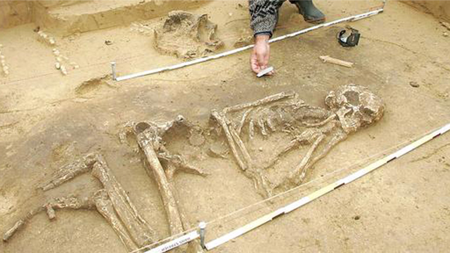 An archaeologist excavating a skeleton.