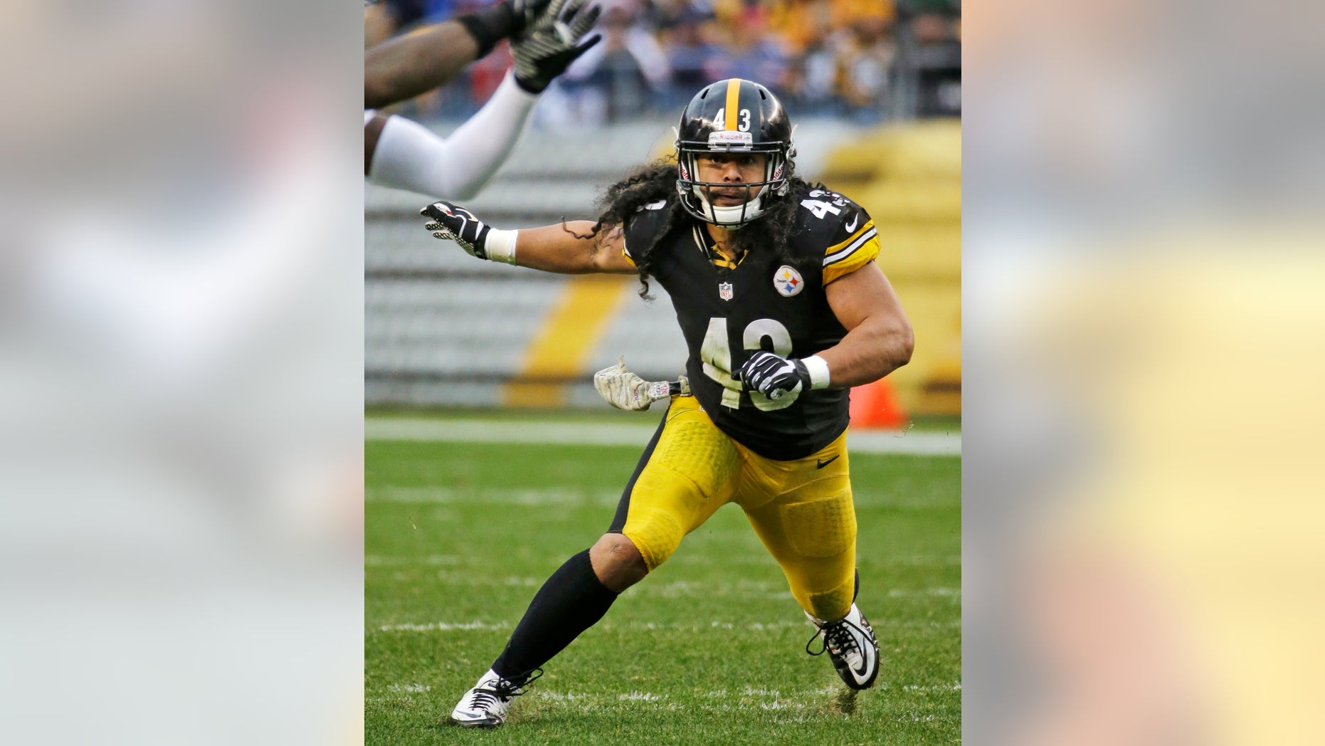 FILE - In this Nov. 10, 2013 file photo, Pittsburgh Steelers' Troy Polamalu (43) drops into coverage during the second half of an NFL football game against the Buffalo Bills, in Pittsburgh. The Steelers safety is back to his freewheeling self for Pittsburgh, which has won three straight to get back into the playoff race. (AP Photo/Gene J. Puskar, File)