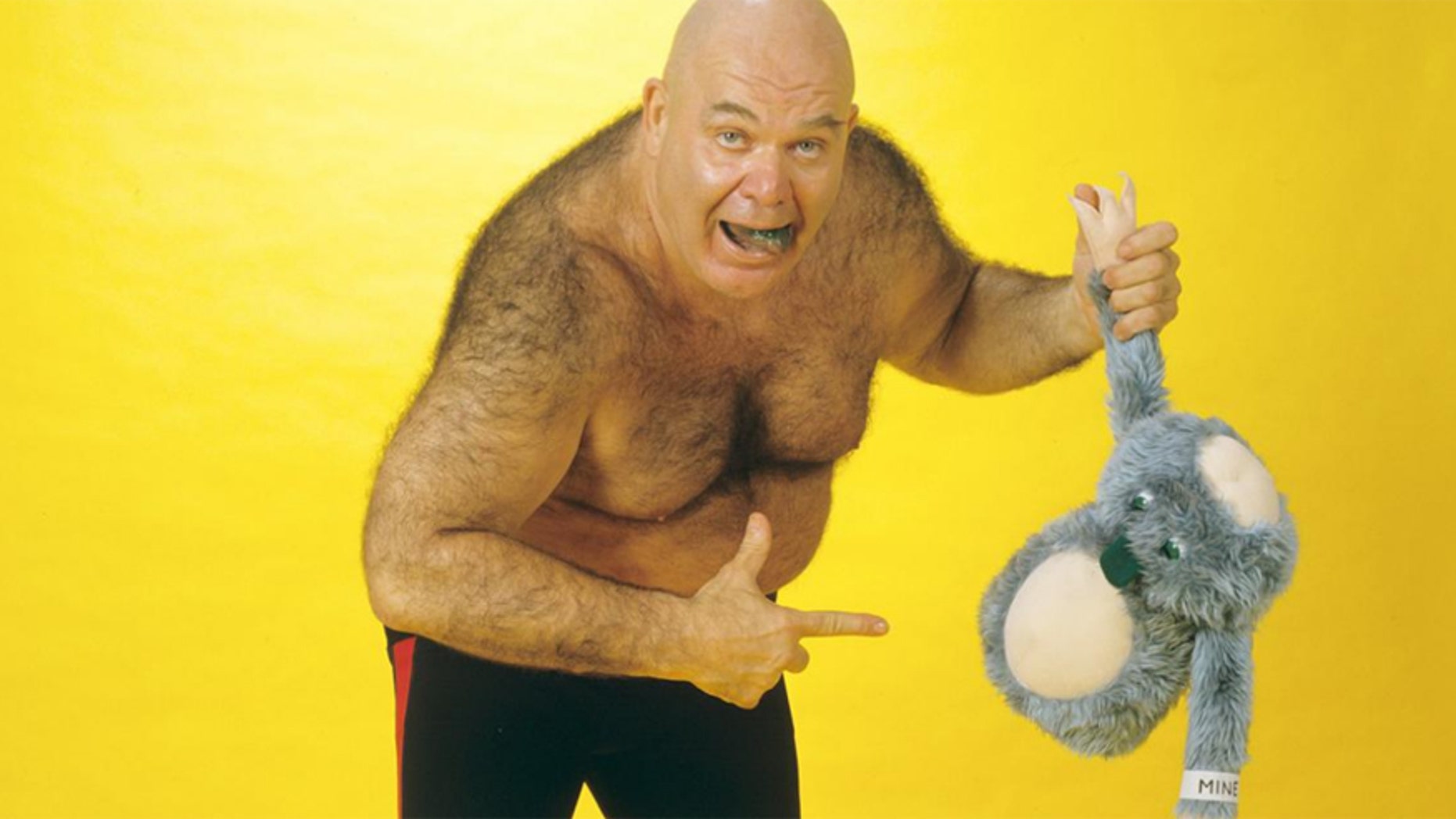 Professional wrestler George "The Animal" Steele died at age 79. Steele, whose real name is William James Myers was one of the WWE's most wild and outrageous stars.