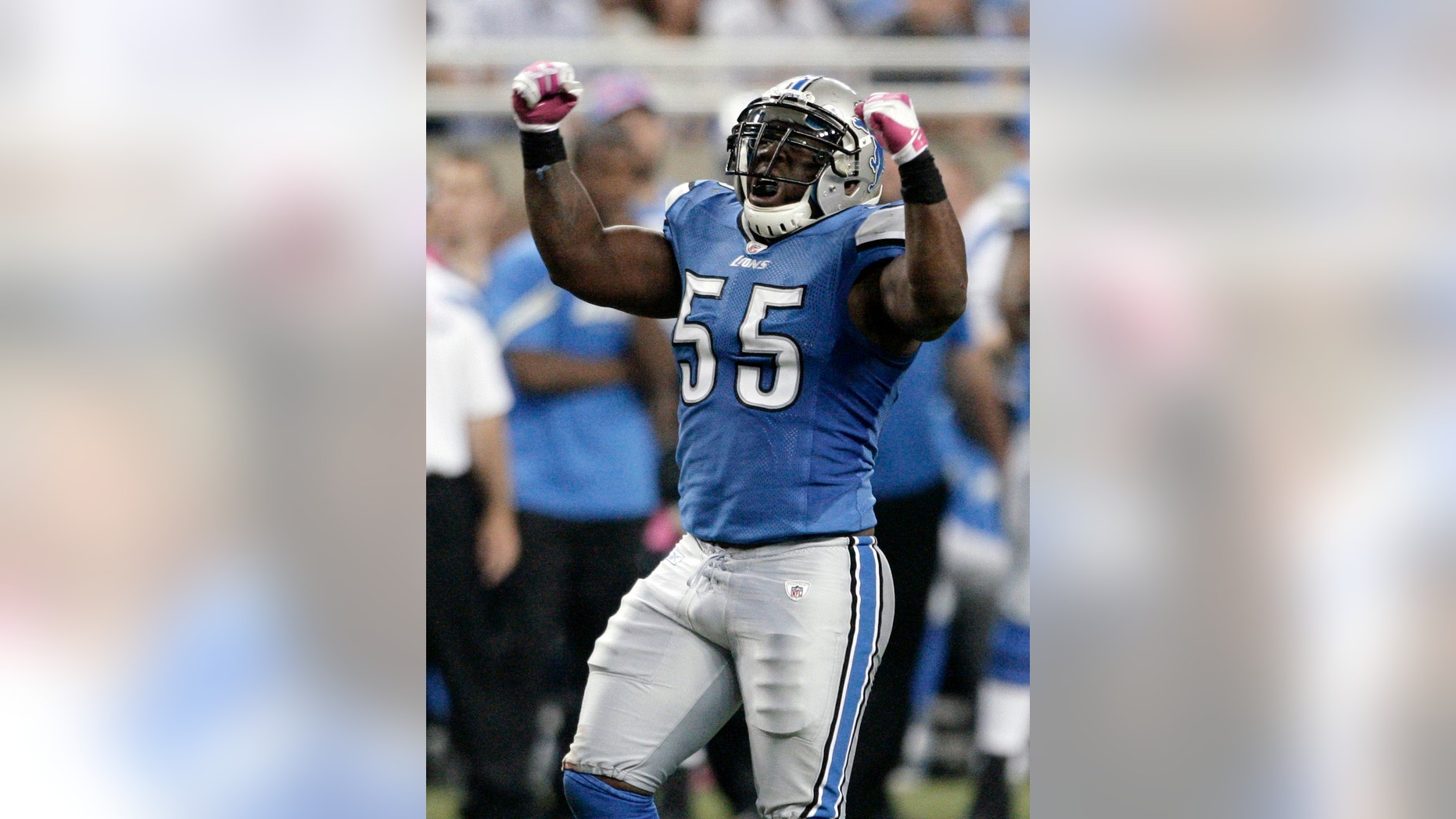 FILE - In this Oct. 10, 2011, file photo, Detroit Lions linebacker Stephen Tulloch celebrates after breaking up a pass by Chicago Bears quarterback Jay Cutler in an NFL football game in Detroit. Tulloch says the Lions are back, a year after flopping to a 4-12 finish in 2012 following a rare appearance in the playoffs. (AP Photo/Duane Burleson, File)