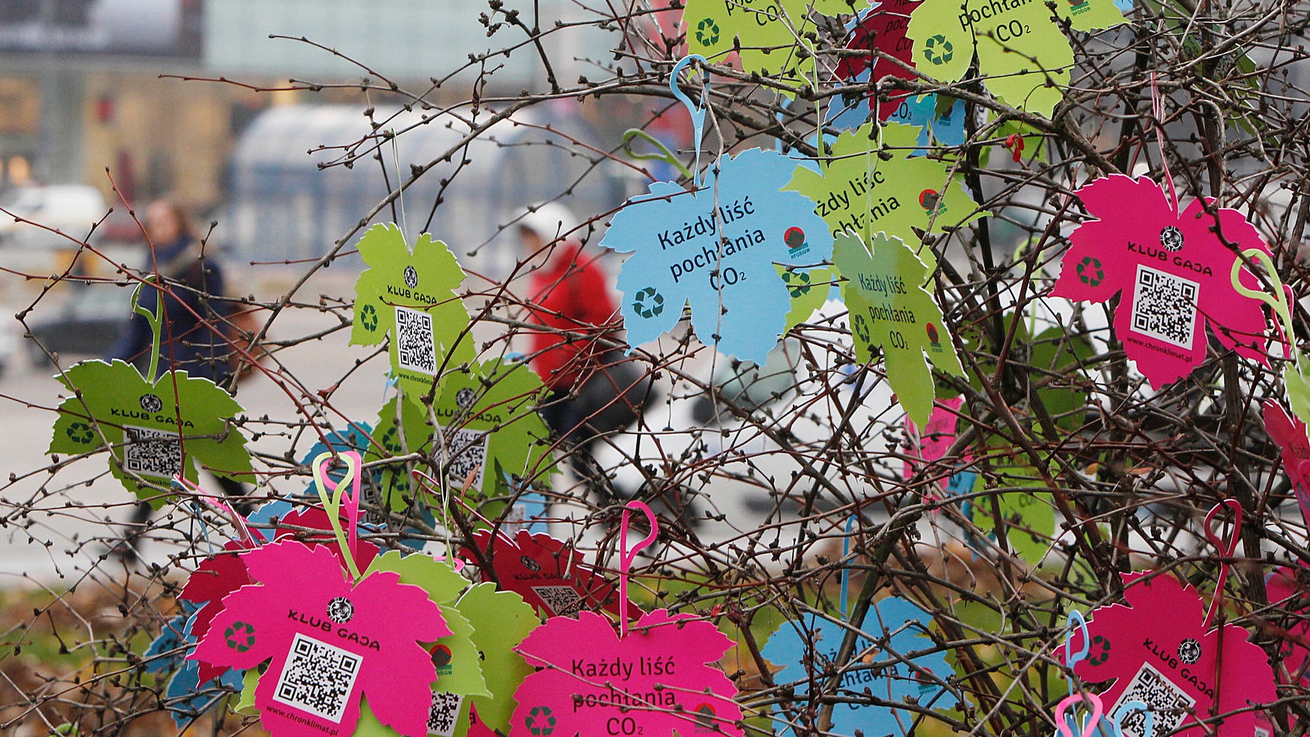 Artificial leaves with description reading "each leaf absorbs CO2" hang at a tree in Warsaw, Poland, Friday, Nov. 22, 2013. The U.N. climate change conference that is to lay the groundwork for a new pact to prevent global warming, is scheduled to close Friday. (AP Photo/Czarek Sokolowski)i