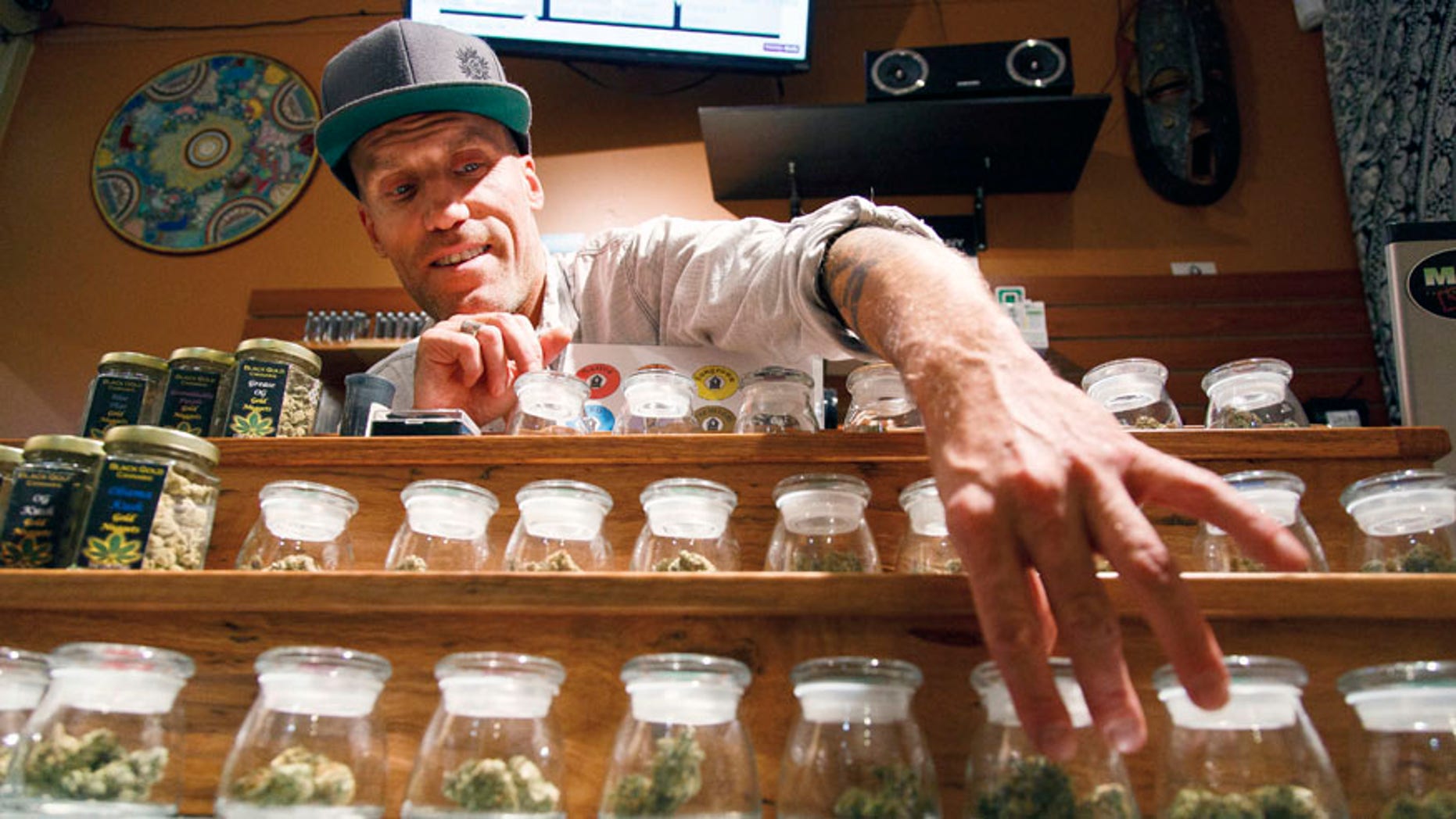 FILE- - In this Sept. 28, 2015, file photo, Shane Cavanaugh, owner of Amazon Organics, a pot dispensary in Eugene, Ore., arranges the cannabis display in his store. The government still has many means to slow or stop the marijuana train and President-elect Donald Trump's nomination of Alabama Sen. Jeff Sessions to be the next attorney general has raised fears that the new administration could crack down on weed-tolerant states. (AP Photo/Ryan Kang, File)