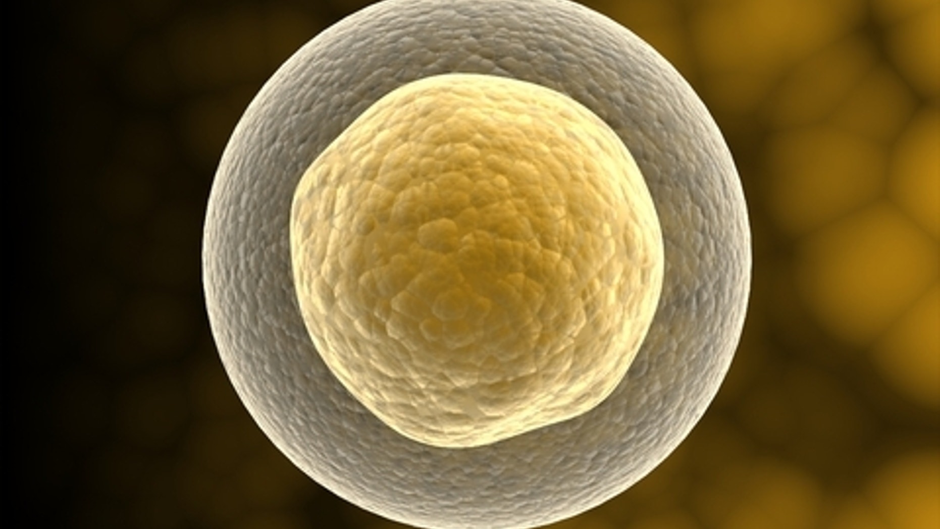 For the first time, researchers have created functioning human lung cells from stem cells.