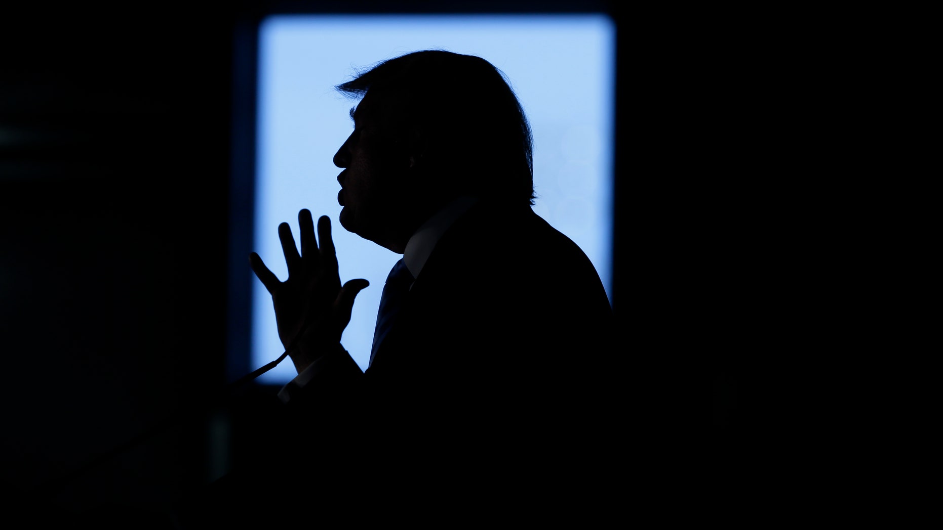 Republican presidential candidate Donald Trump speaks during a campaign rally Saturday, Dec. 5, 2015, in Davenport, Iowa. (AP Photo/Charlie Neibergall)
