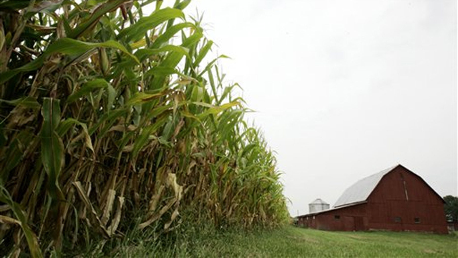 This 2006 file photo shows a farm near Morrow, Ohio. (AP Photo)