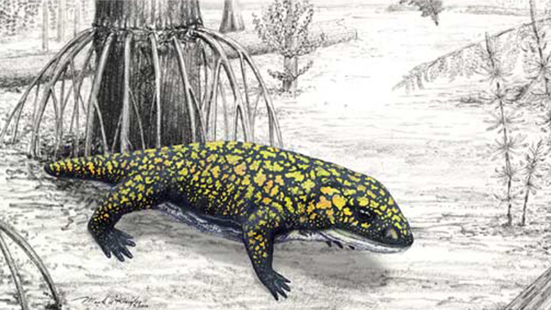 An illustration of Fedexia striegeli in the environment of the Pennsylvanian Period (300 million years ago).