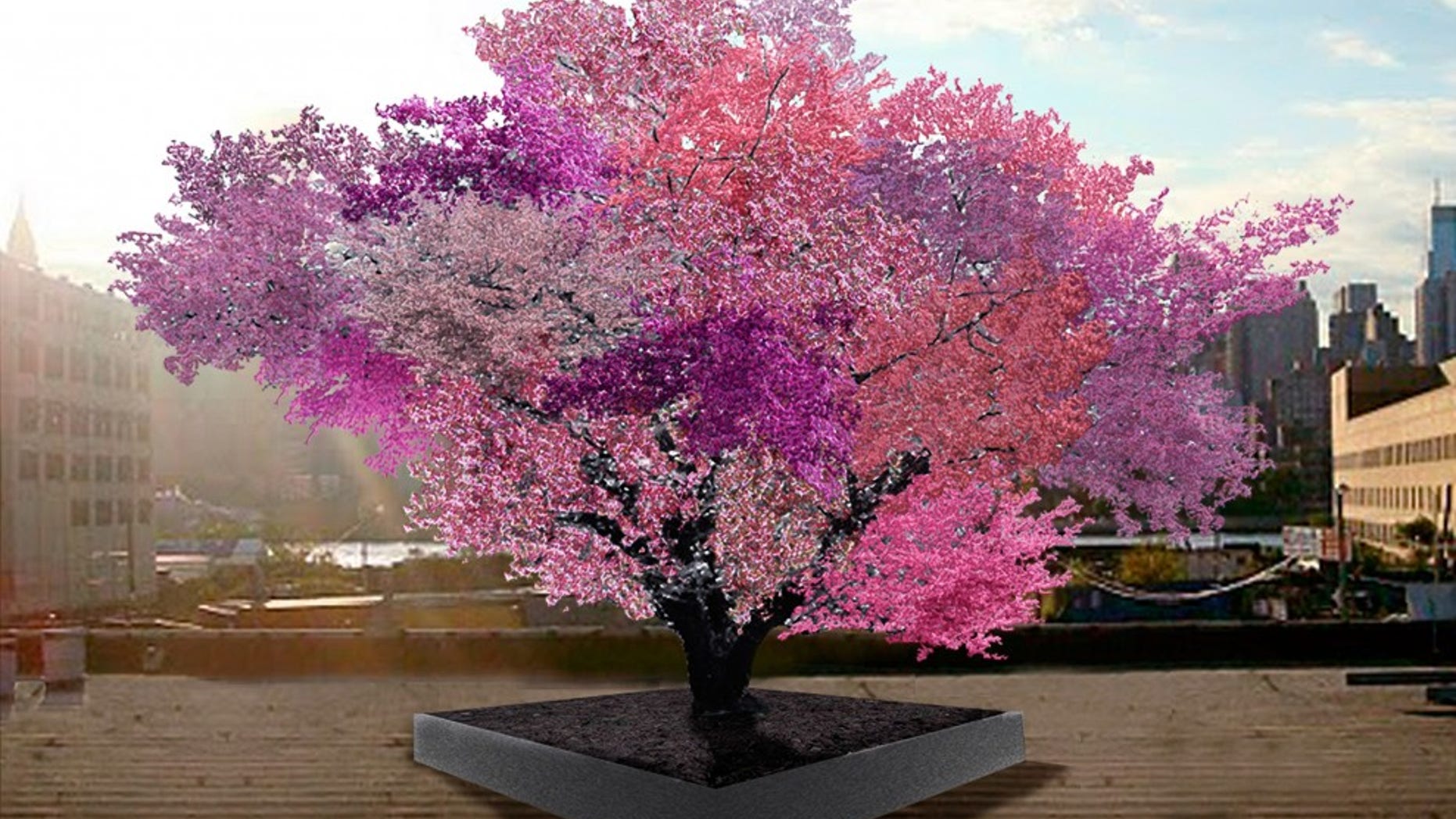 The Tree of 40 Fruits is edible contemporary art.