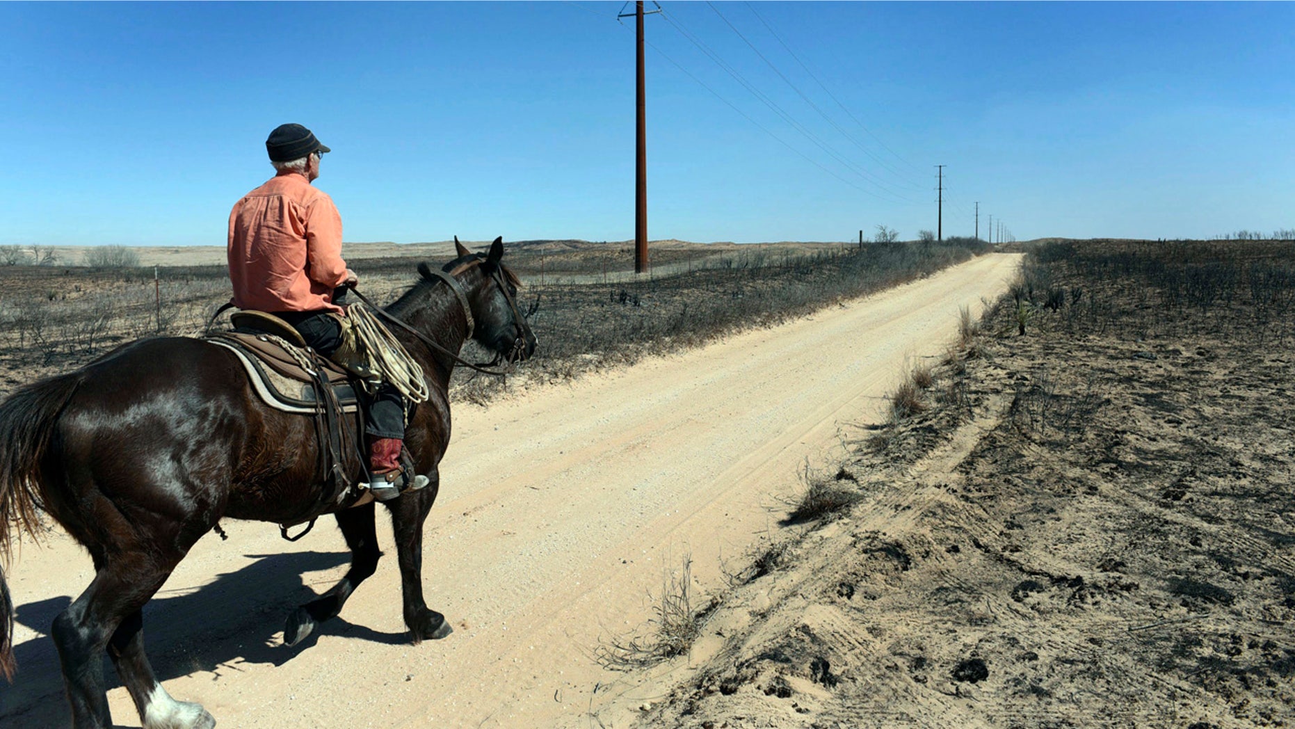 David Crockett, grandfather of the Cody Crockett who died in Monday's wildfires, rides the scorched prairie of Franklin Ranch searching for injured cattle Tuesday, March 7, 2017 after wildfires raced across Gray County, Texas driven by 50 mph winds.