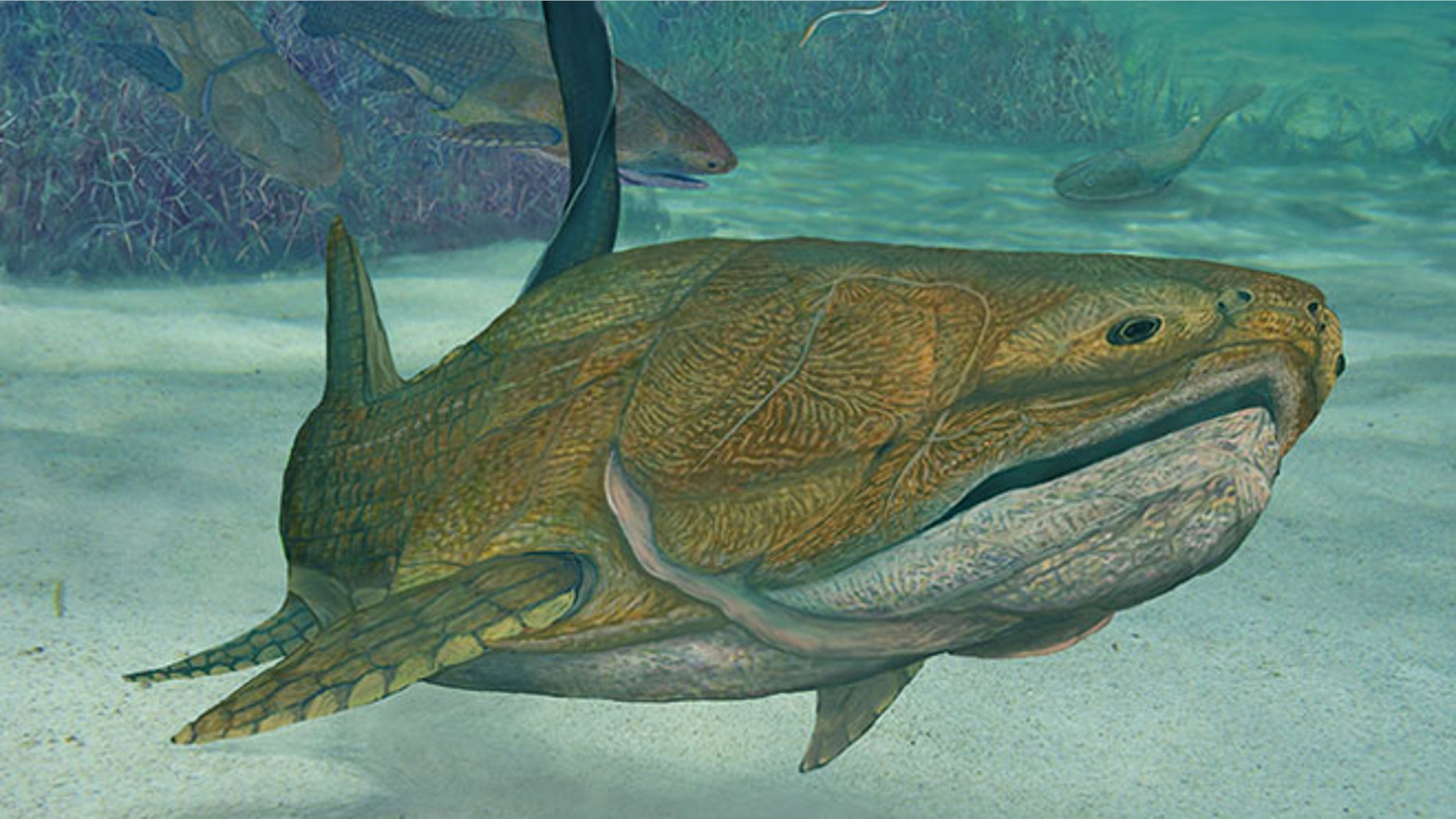 The earliest known species with what we would recognize as a face was an armored, beady-eyed prehistoric fish.