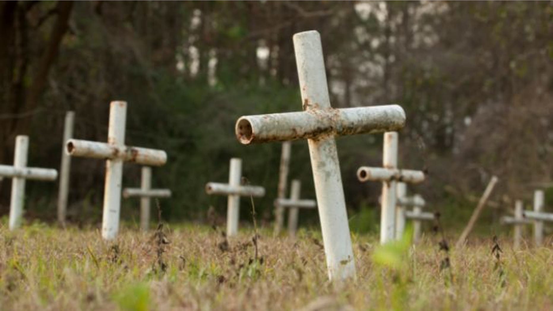 FILE: Dec. 10, 2012: White metal crosses mark graves at the cemetery of the former Arthur G. Dozier School for Boys in Marianna, Florida.