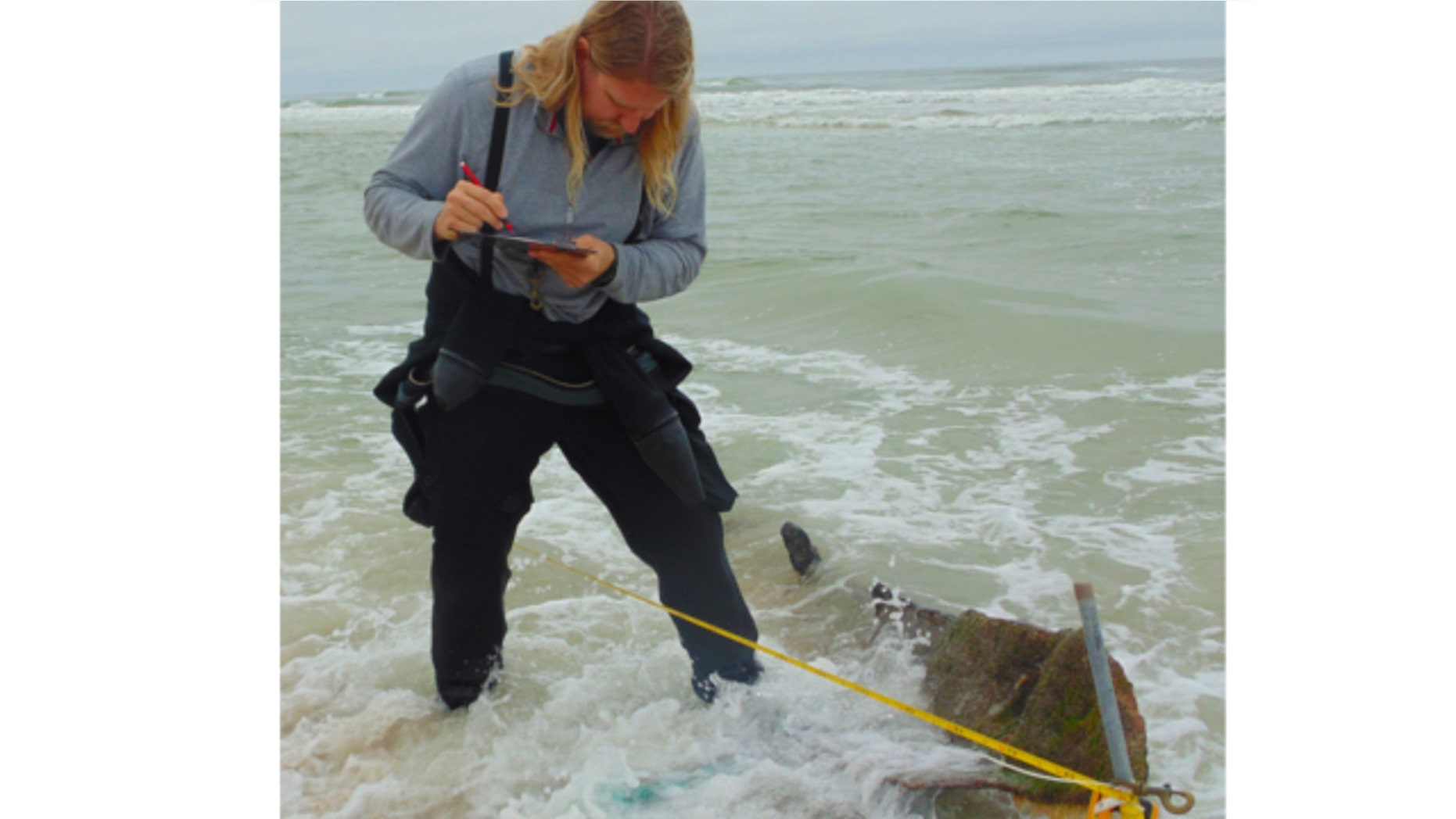 Jan. 2, 2014: An archaeologist from the St. Augustine Lighthouse & Museum investigates a shipreck submerged in the Ponte Vedra Beach, Fla., shoreline.