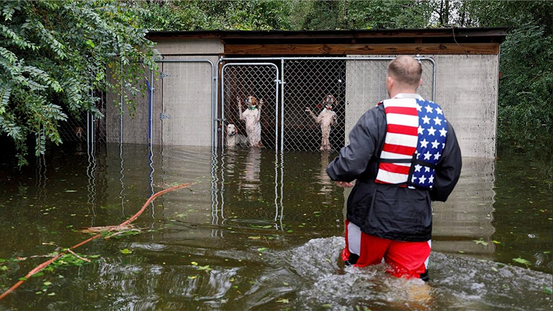 Panicked dogs that were left caged by an owner who fled rising flood waters in the aftermath of Hurricane Florence in Leland, North Carolina.
