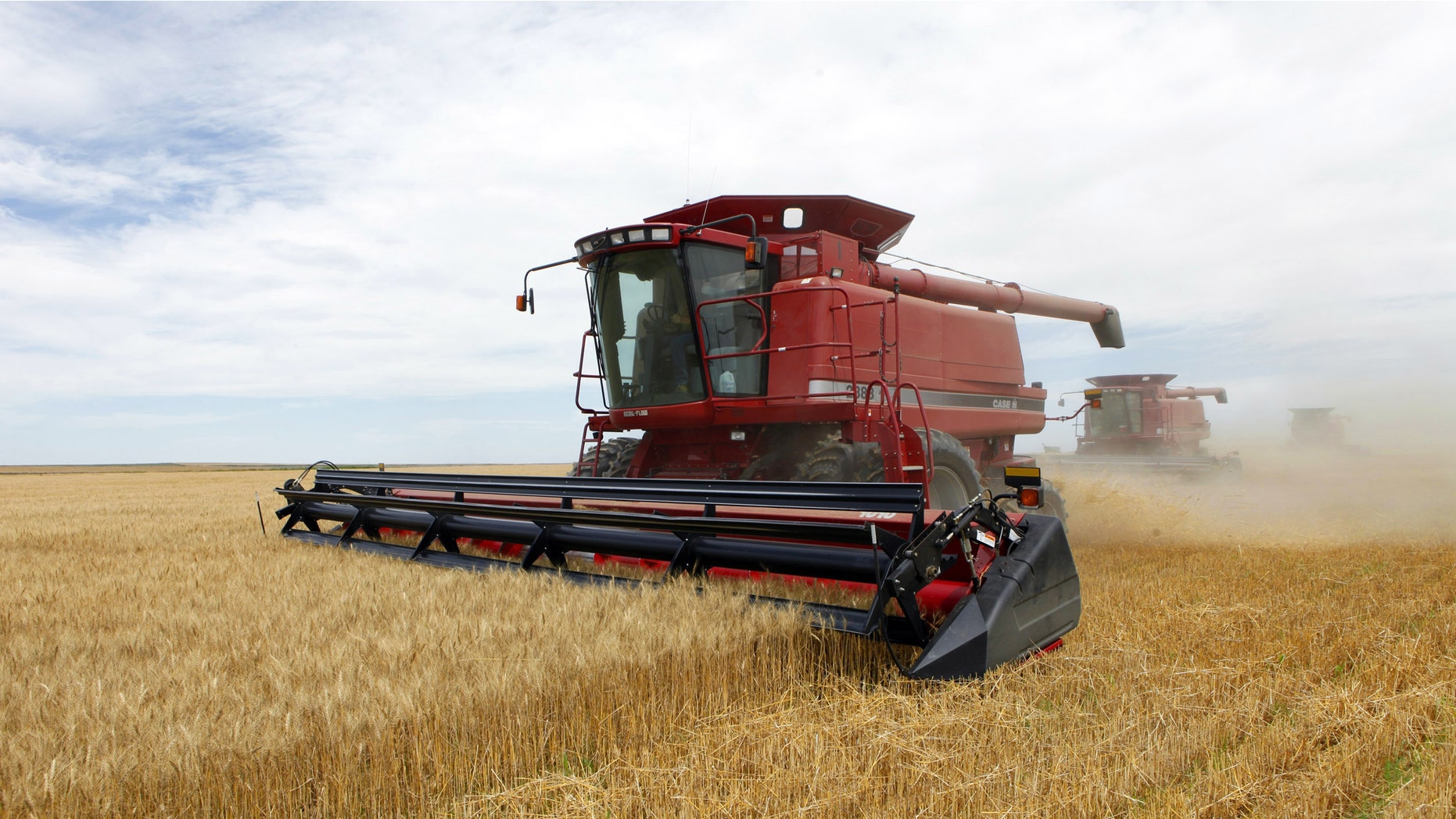 Three combines harvest the winter wheat on the Cooksey farm near Roggen, Colo.