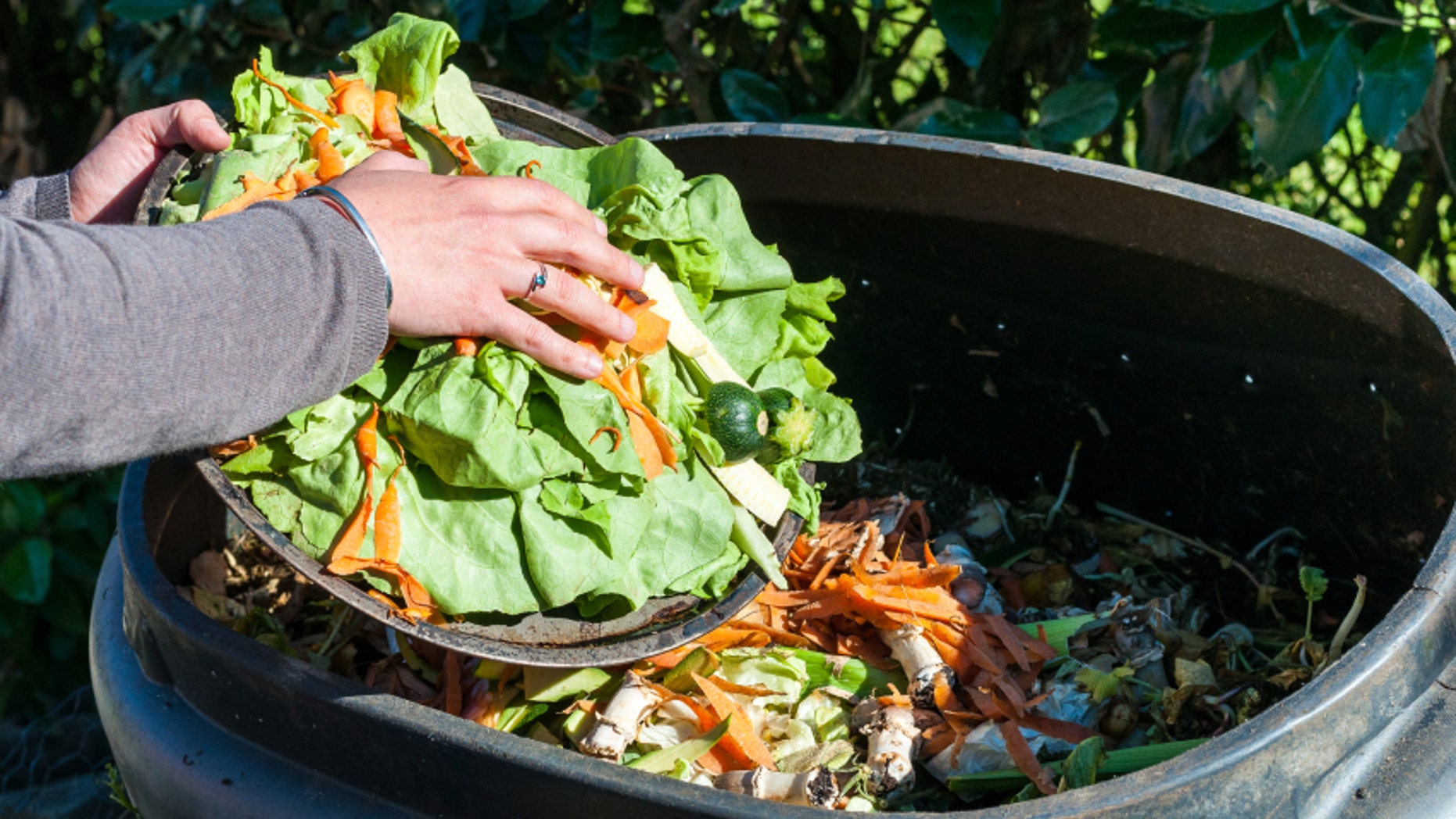 Americans throw out 30 percent of their food.