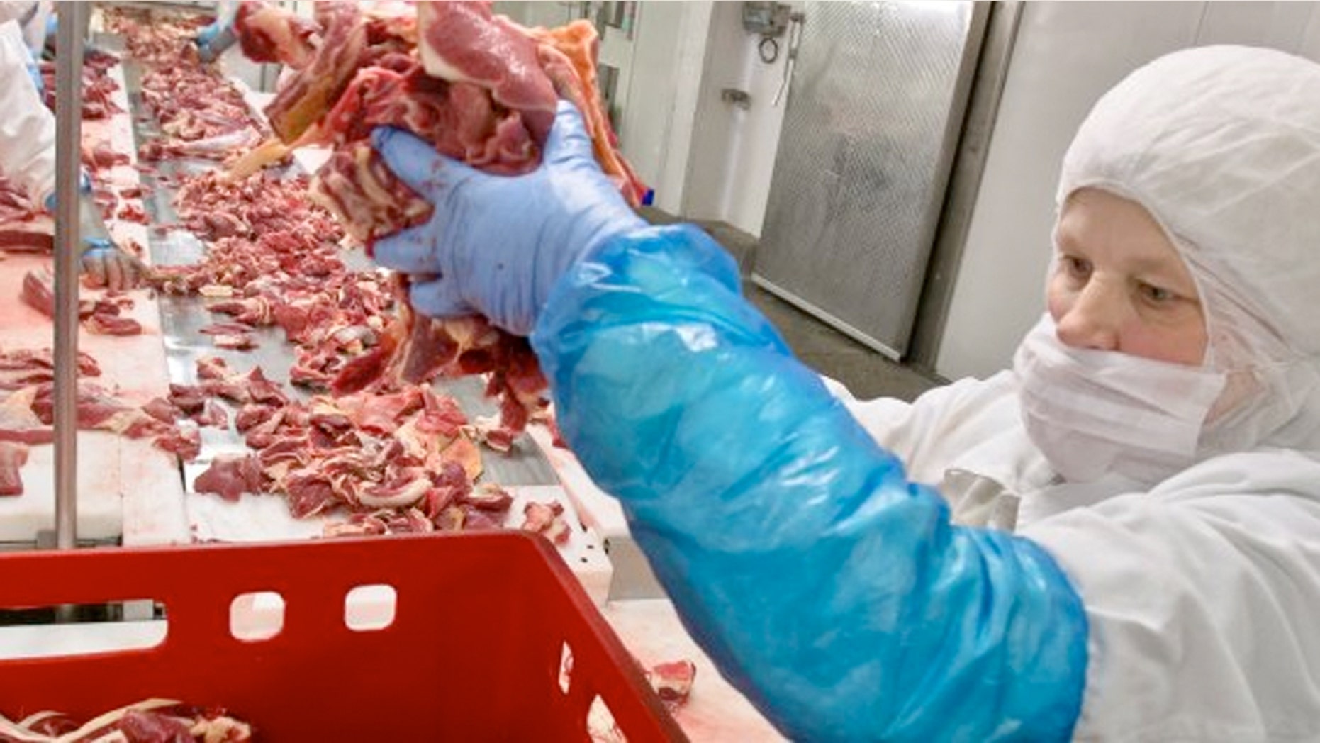 Fifty one percent of food workers say they “always” or “frequently” go to work when they’re feeling ill. Thirty-eight percent said they “sometimes” go to work sick.
